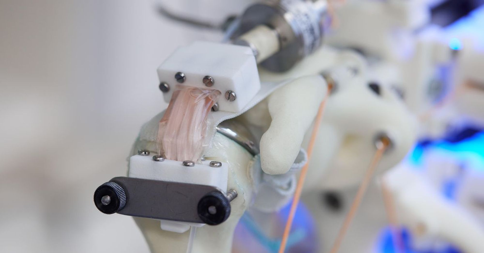 Scientists grow cells on a robot skeleton (but don't know what to do with them yet)