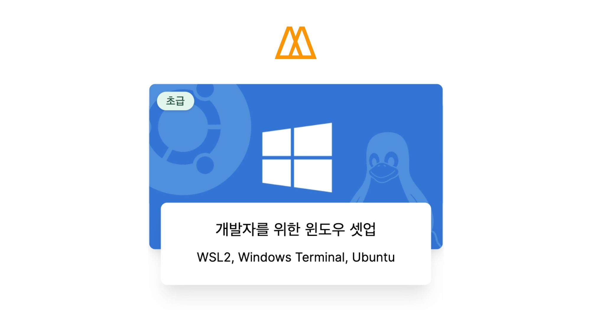 개발자를 위한 윈도우 셋업 - 노마드 코더 Nomad Coders