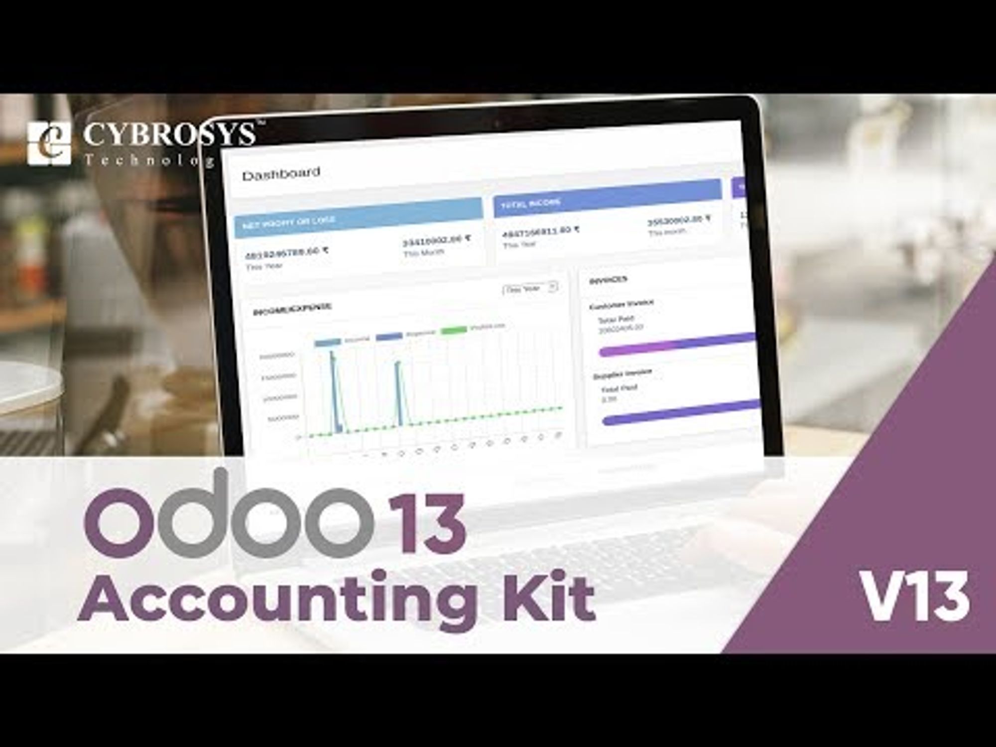 Odoo 13 Accounting Kit
