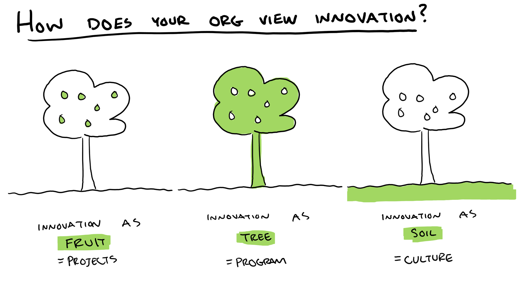 How to Unlock Your Innovation Growth with Fruits, Trees, and Soil - Ed Essey