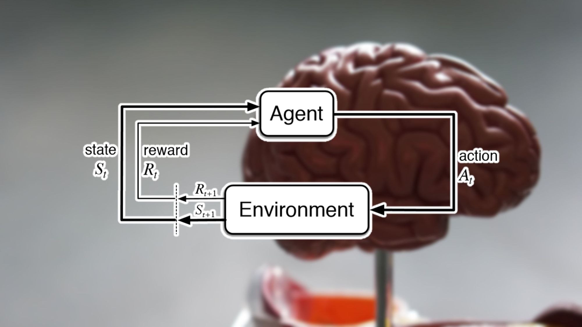 DeepMind scientists: Reinforcement learning is enough for general AI