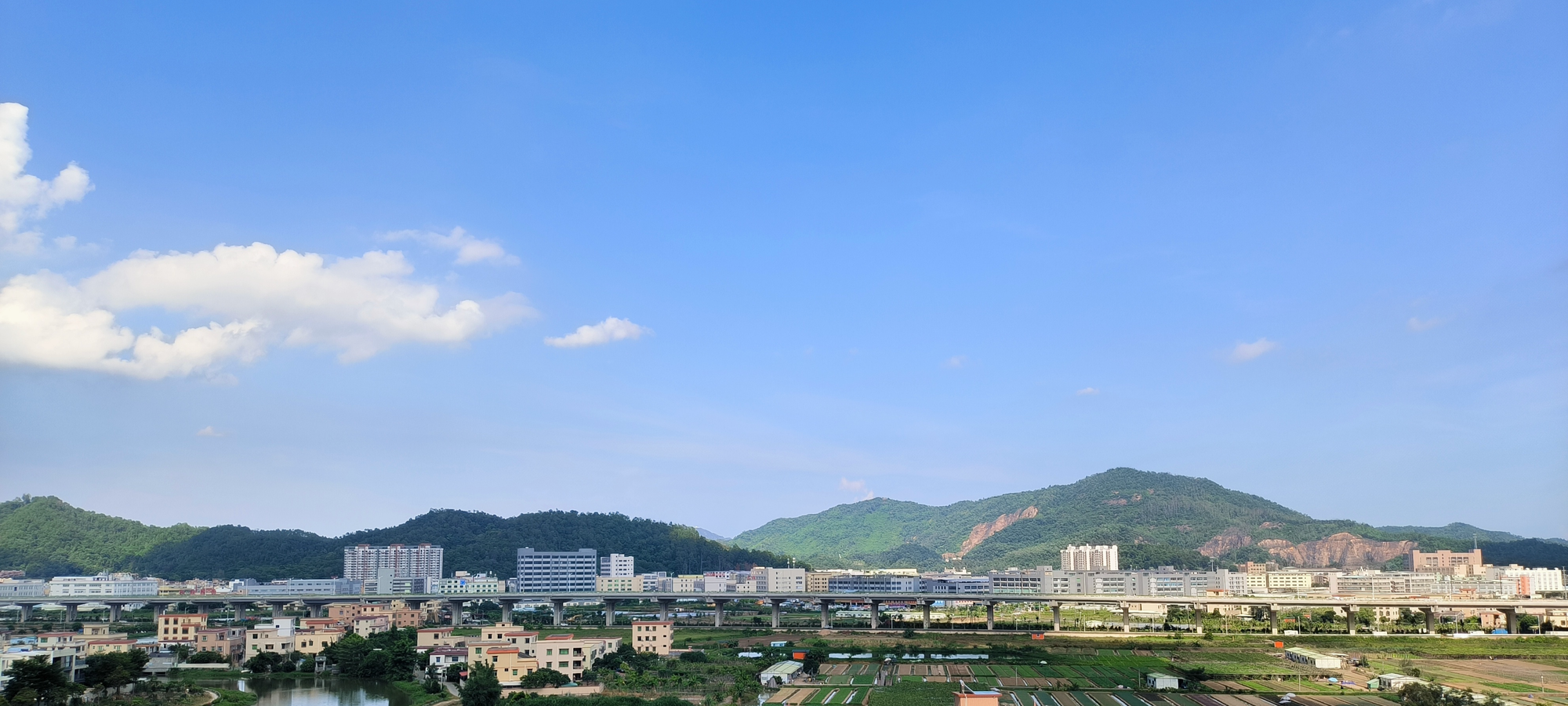 2022年8月1日 流羽 投稿 拍摄于广东中山