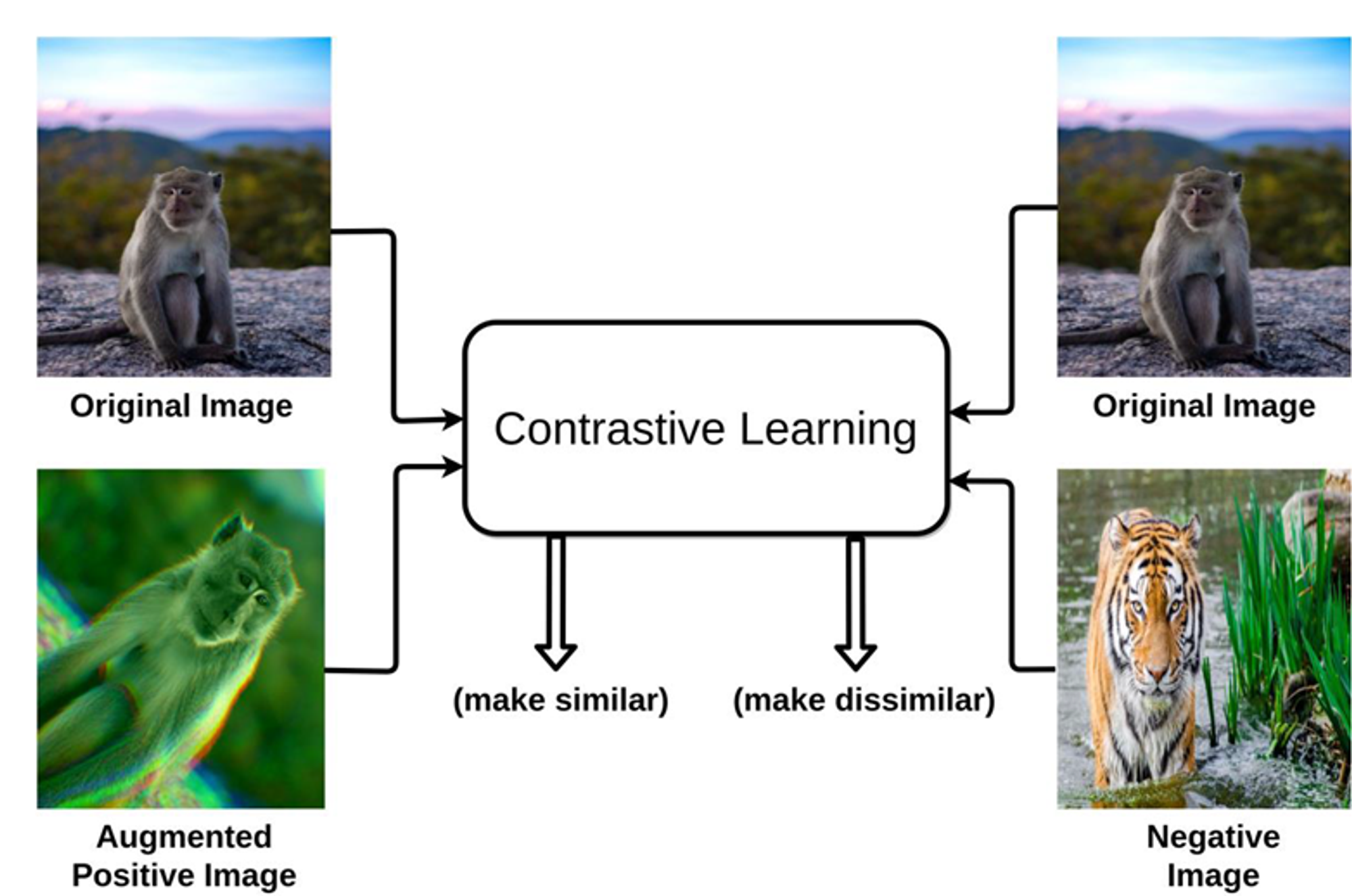 Contrastive Learning이란? (feat. Contrastive Loss, Self-supervised learning)