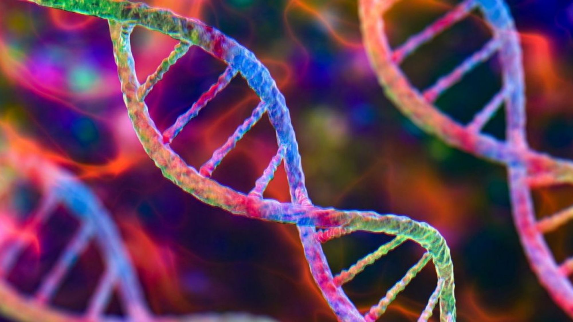 A new genome reference index could save the gene diversity of humans