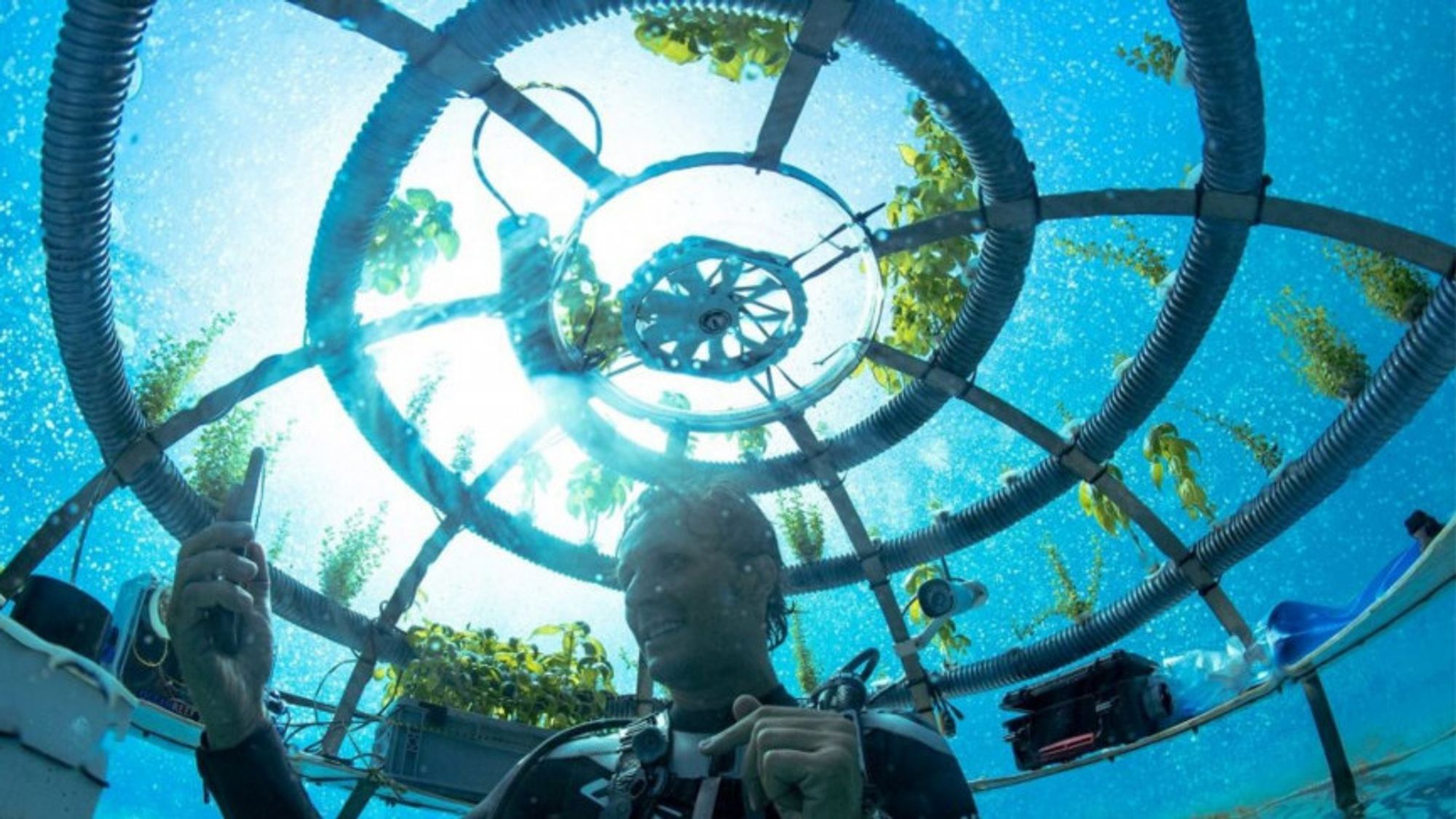https://interestingengineering.com/nemos-garden-underwater-greenhouse-agriculture