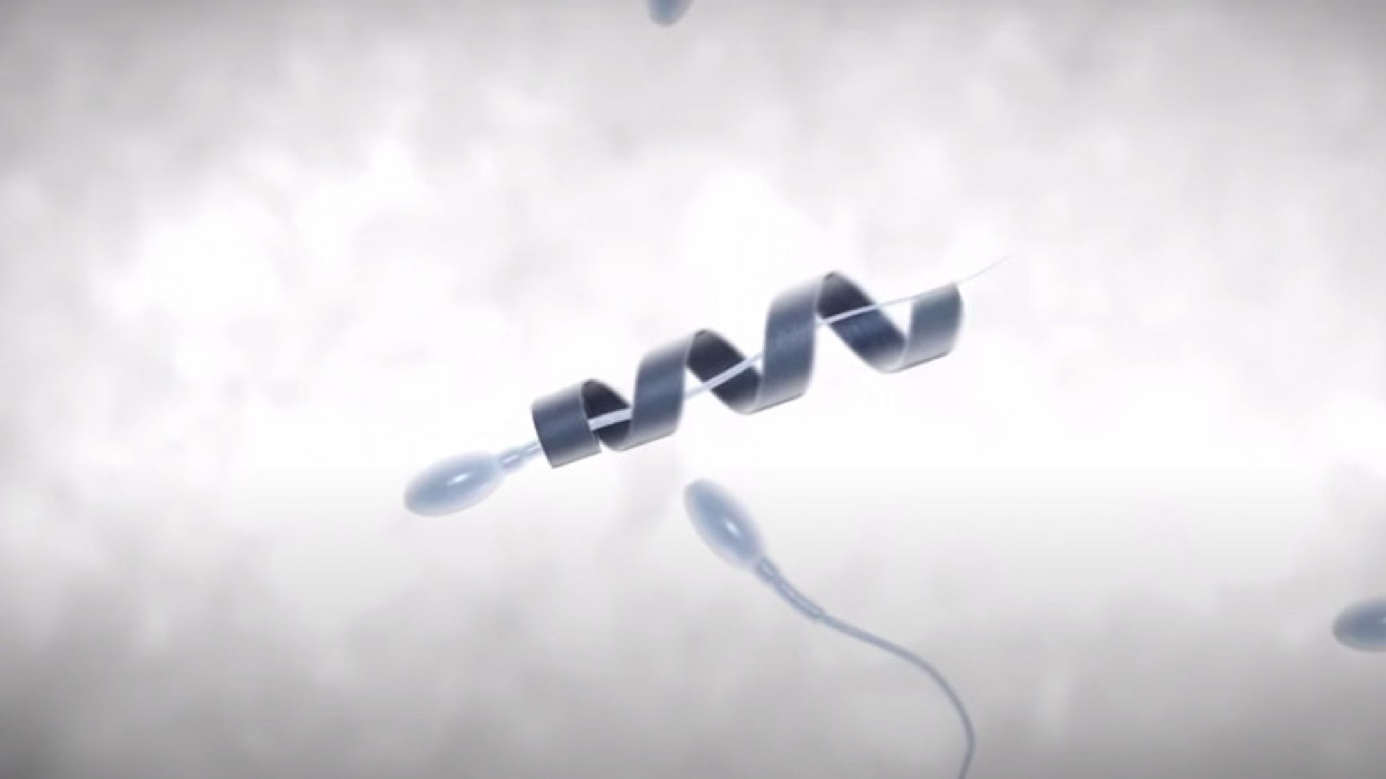 Watch Nanobot Carry Lazy Sperm to Fertilize Living Eggs