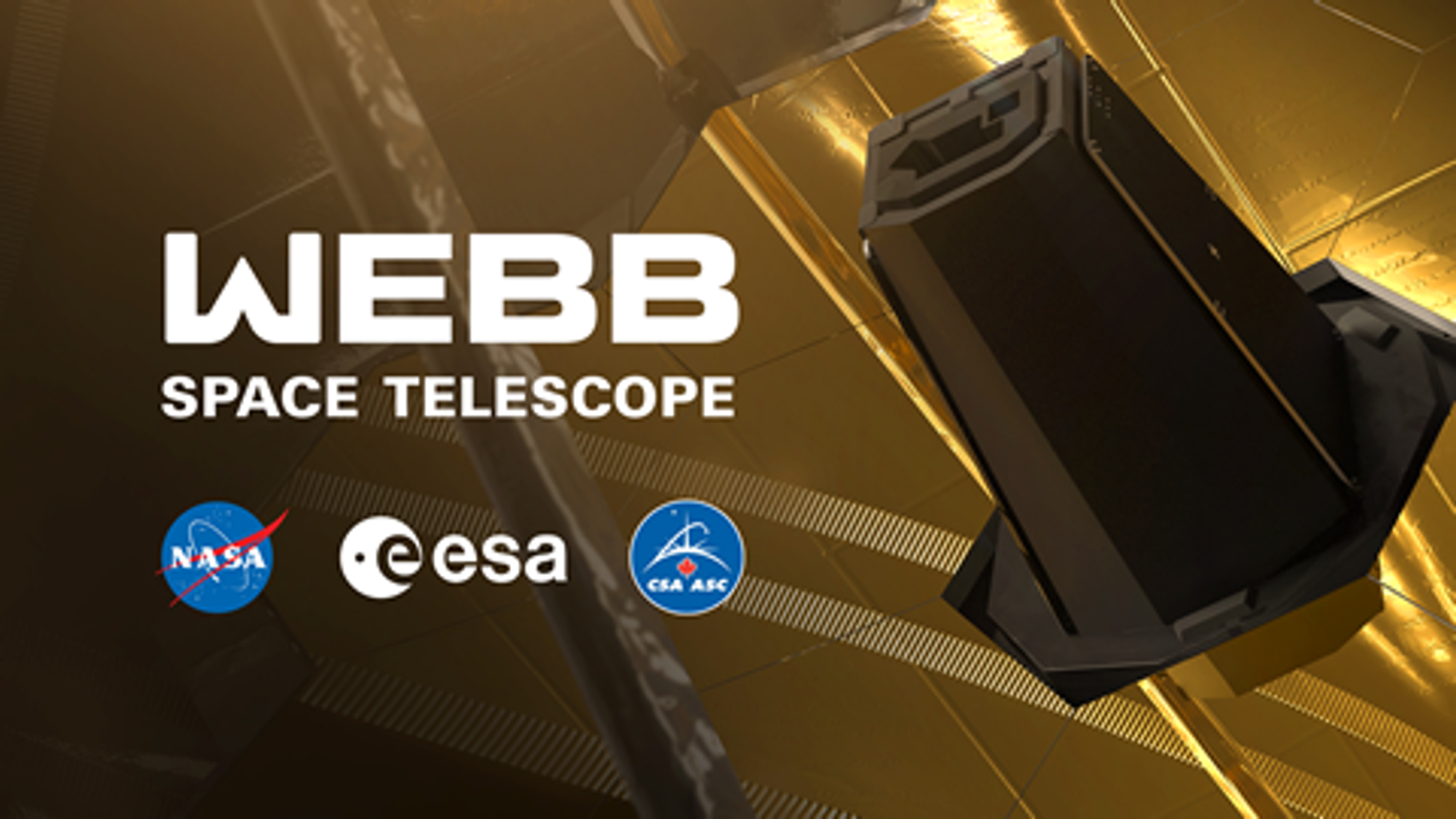 Webb's Launch GSFC/NASA