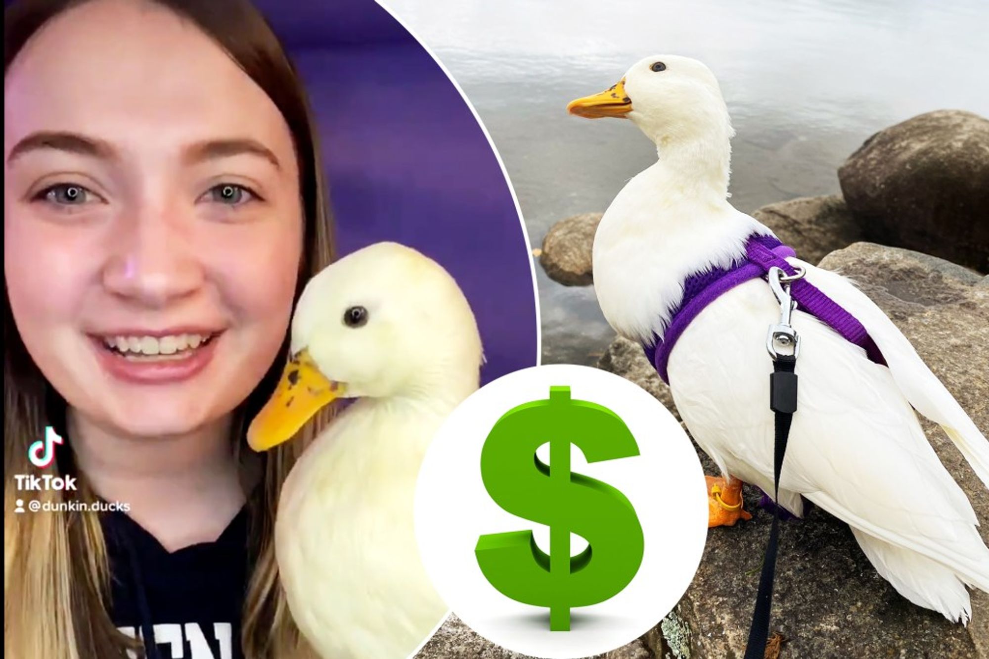 Viral TikTok superstar Dunkin Ducks earns $4,500 a month