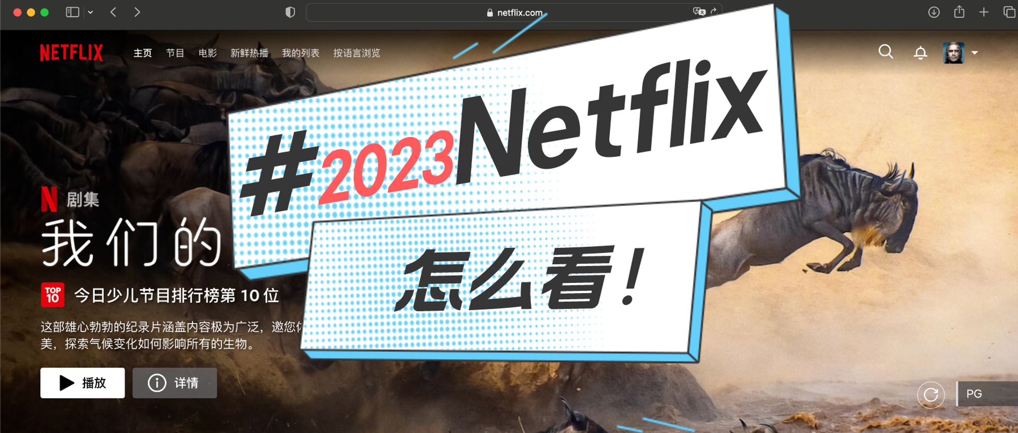 2023 Netflix怎么看：巴铁锁卡 土耳其锁区 埃及注册有多难 - playfulsoul.net