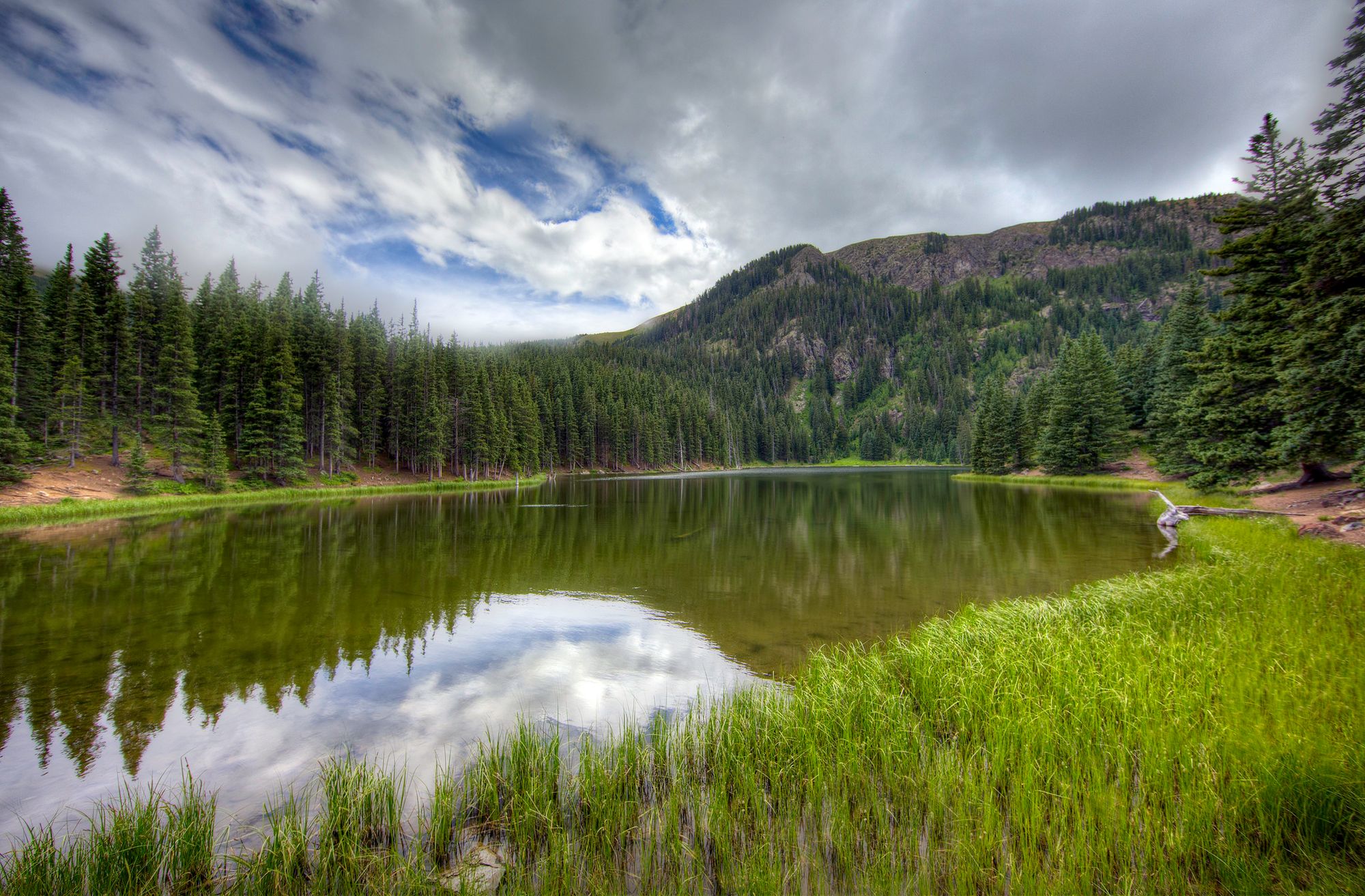 Idaho National Forests