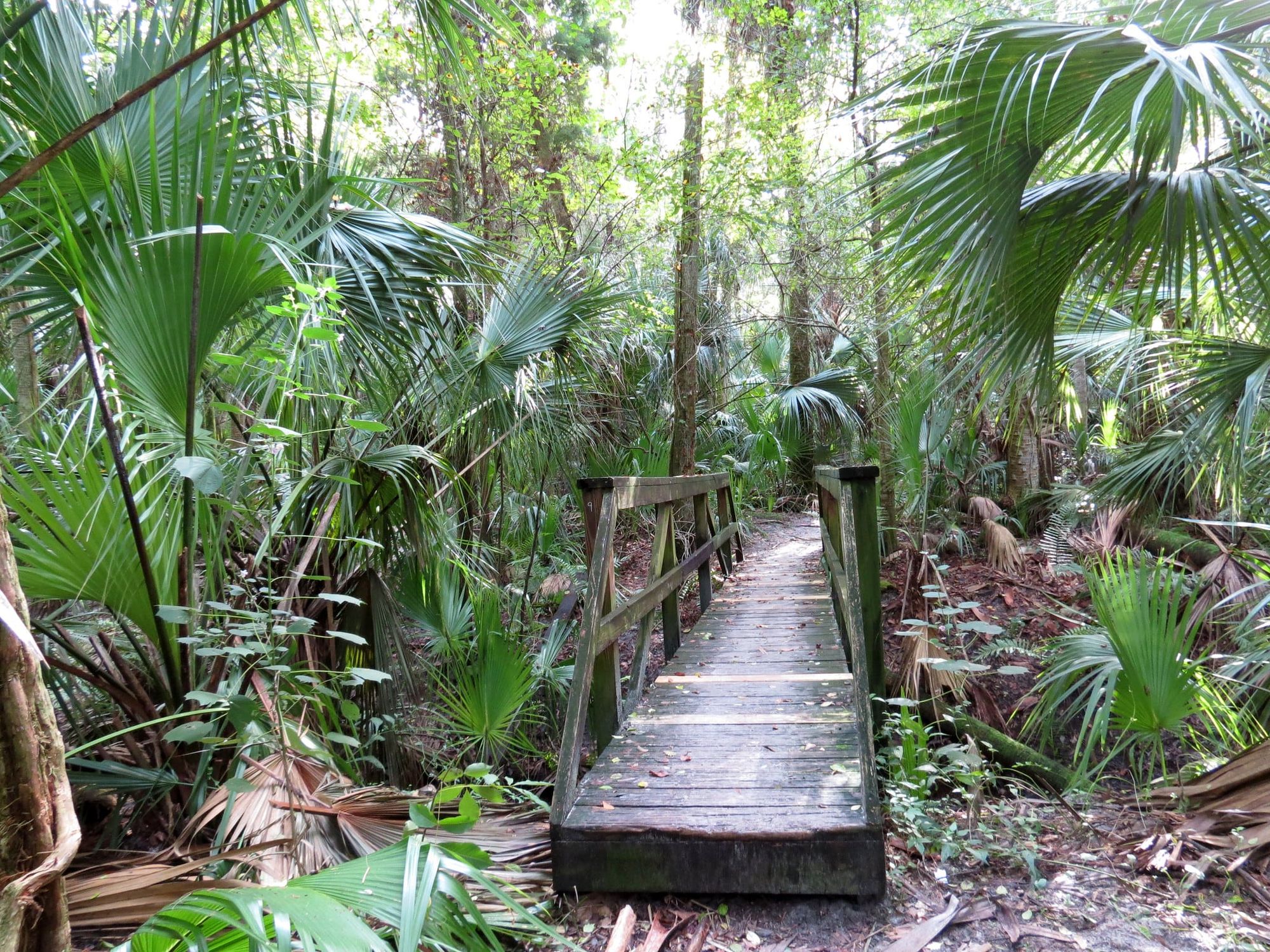 Florida Trail section hiking