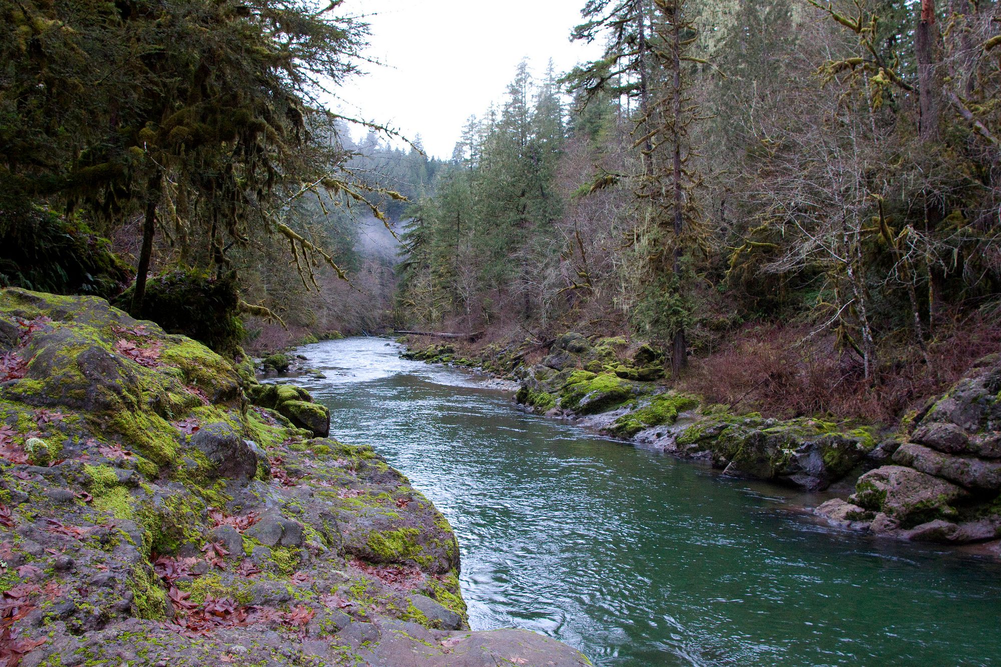 Wild & Scenic Rivers (In Your State)