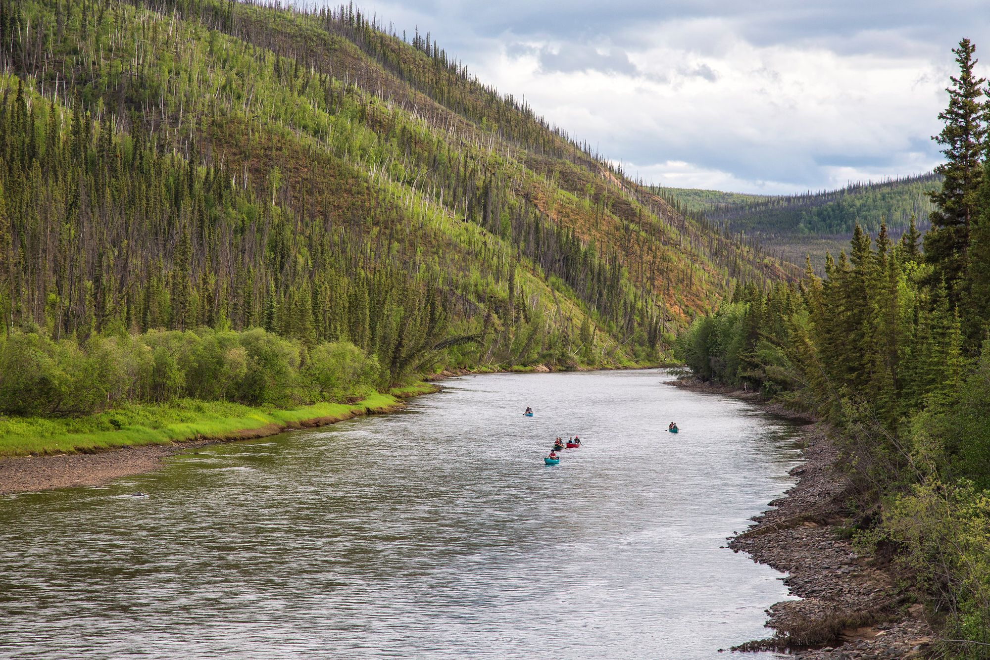 Alaska Wild & Scenic Rivers