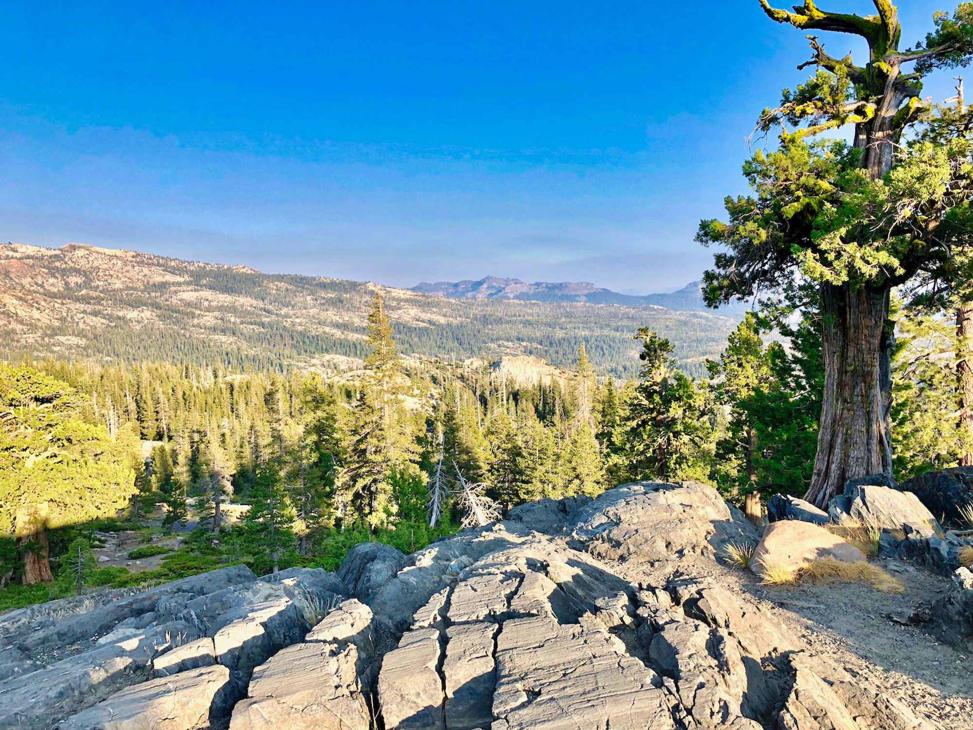 Sierra Mountain Passes