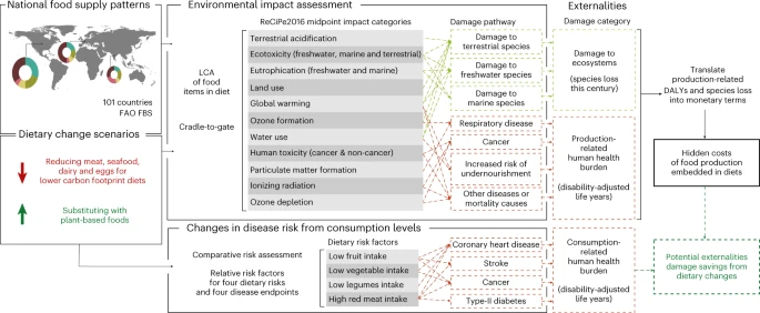 Low-carbon diets can reduce global ecological and health costs | Nature Food
