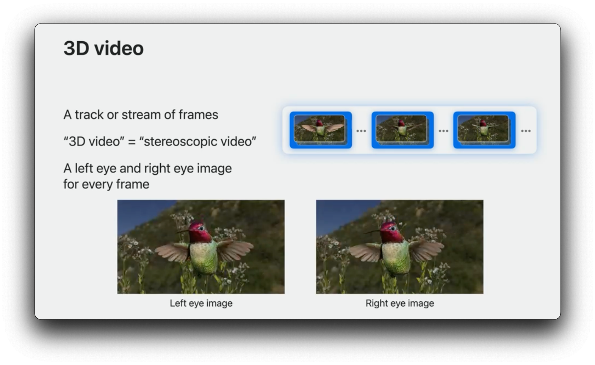 WWDC23 关于 3D 视频的介绍