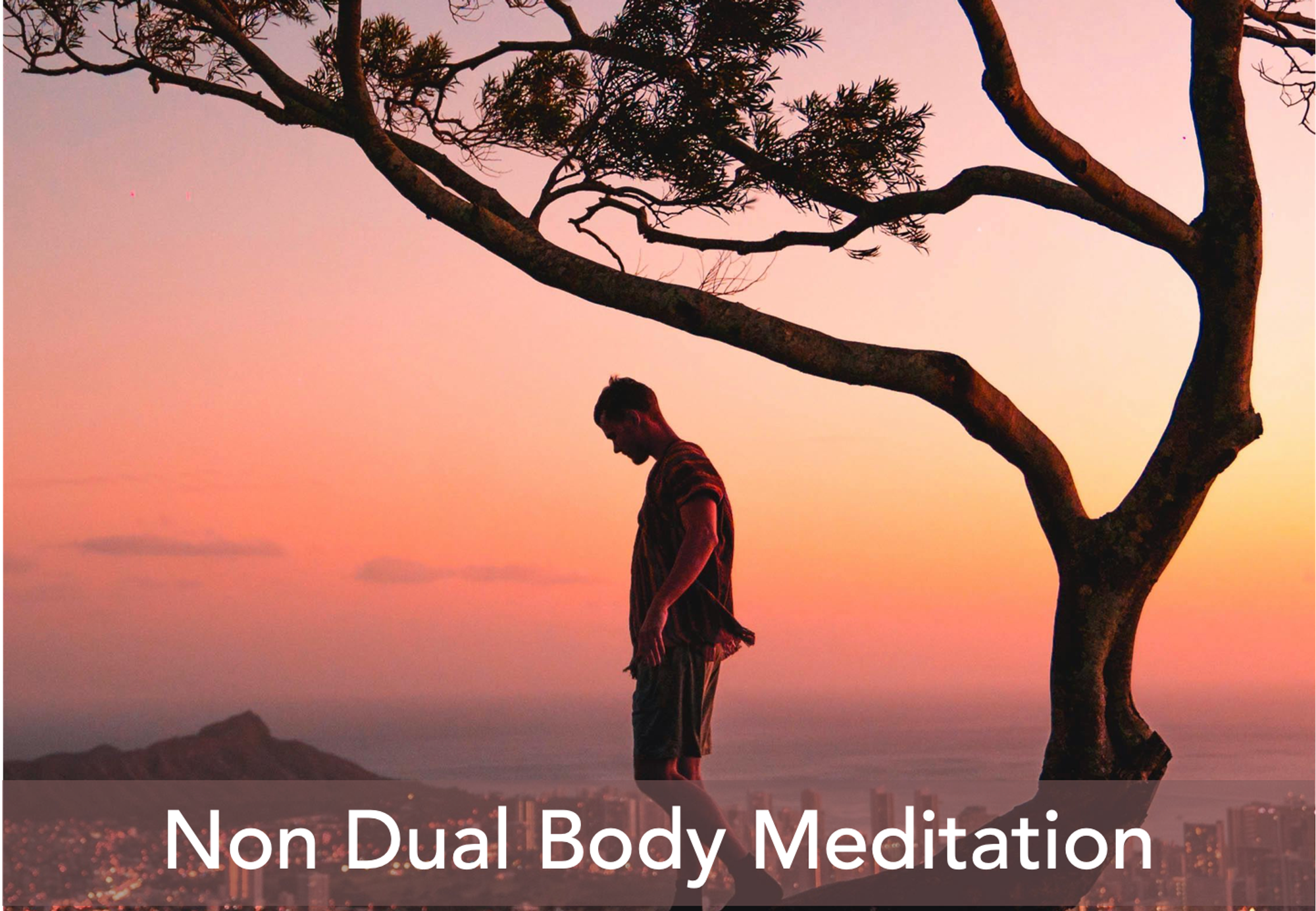 https://insighttimer.com/willmeecham/guided-meditations/nondual-body-meditation