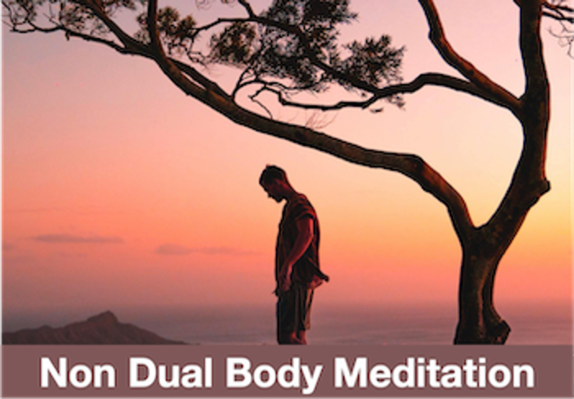 https://insighttimer.com/willmeecham/guided-meditations/nondual-body-meditation