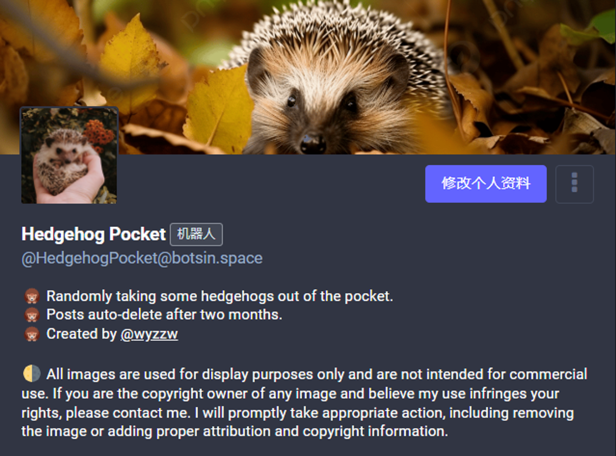 Hedgehog Pocket