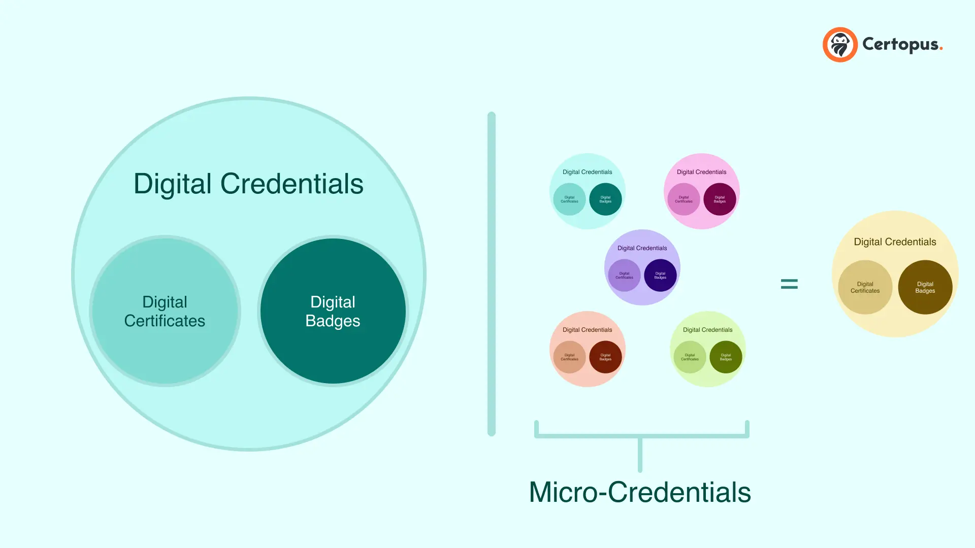 Micro-credentials vs Digital Credentials representation