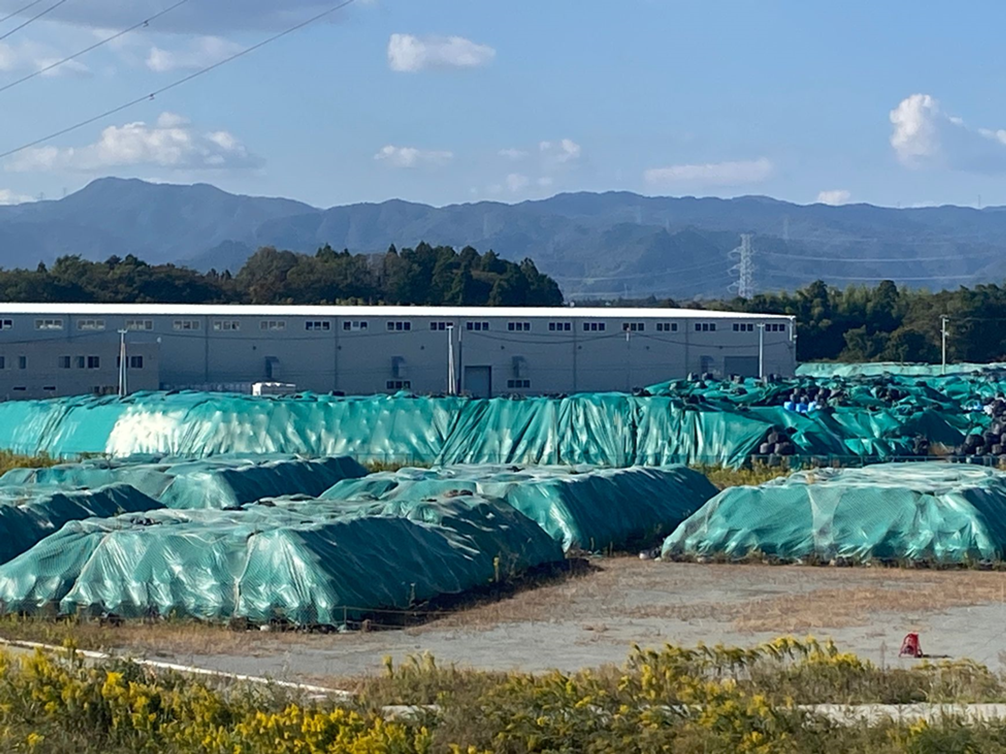 L’un des innombrables sites de stokage de sacs de terre faiblement radioactive (Fukushima Daiichi)
