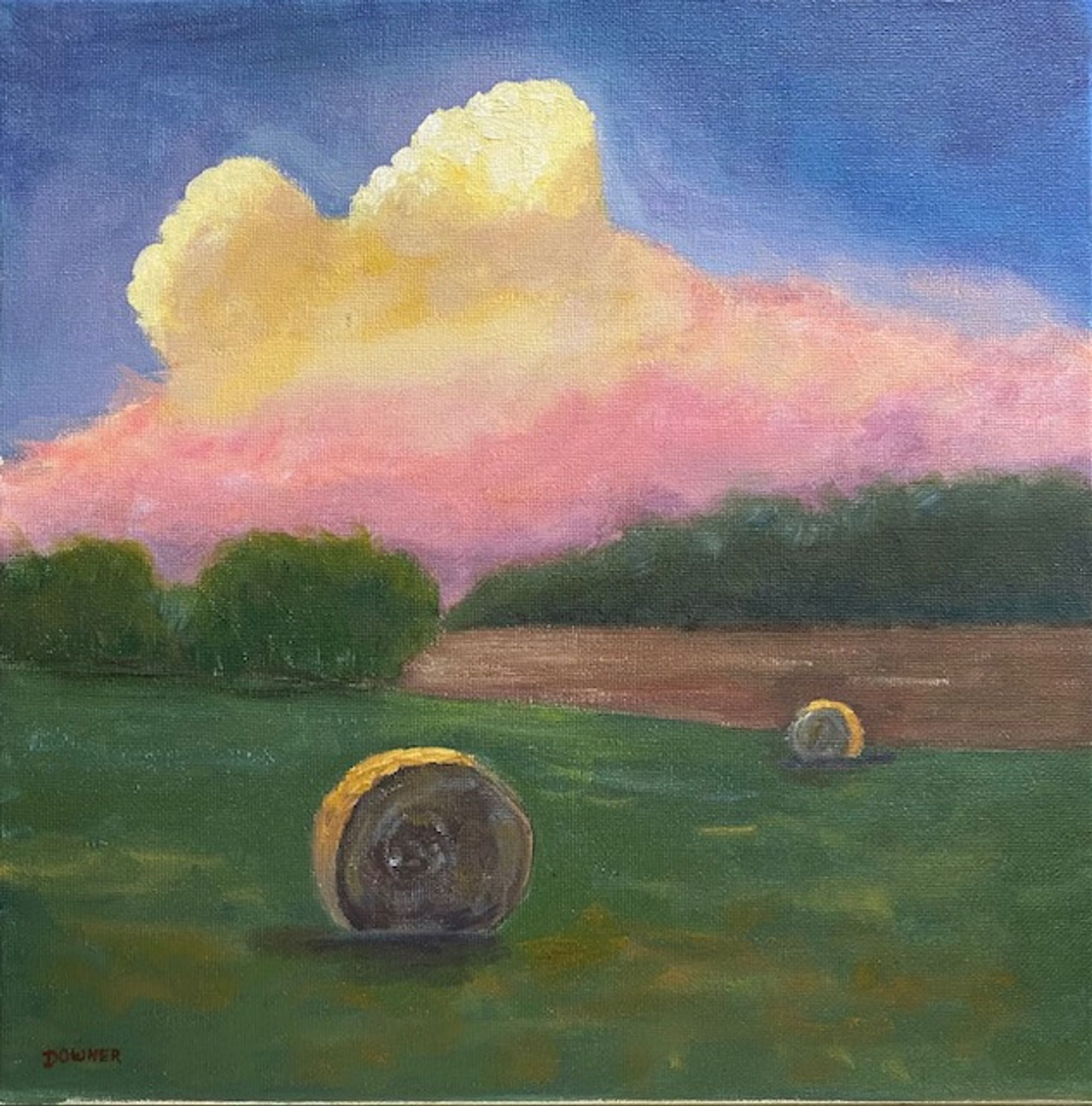 Bales in the Field
