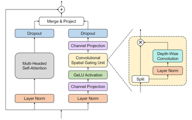 图 2.3 Branchformer模型编码器块的结构