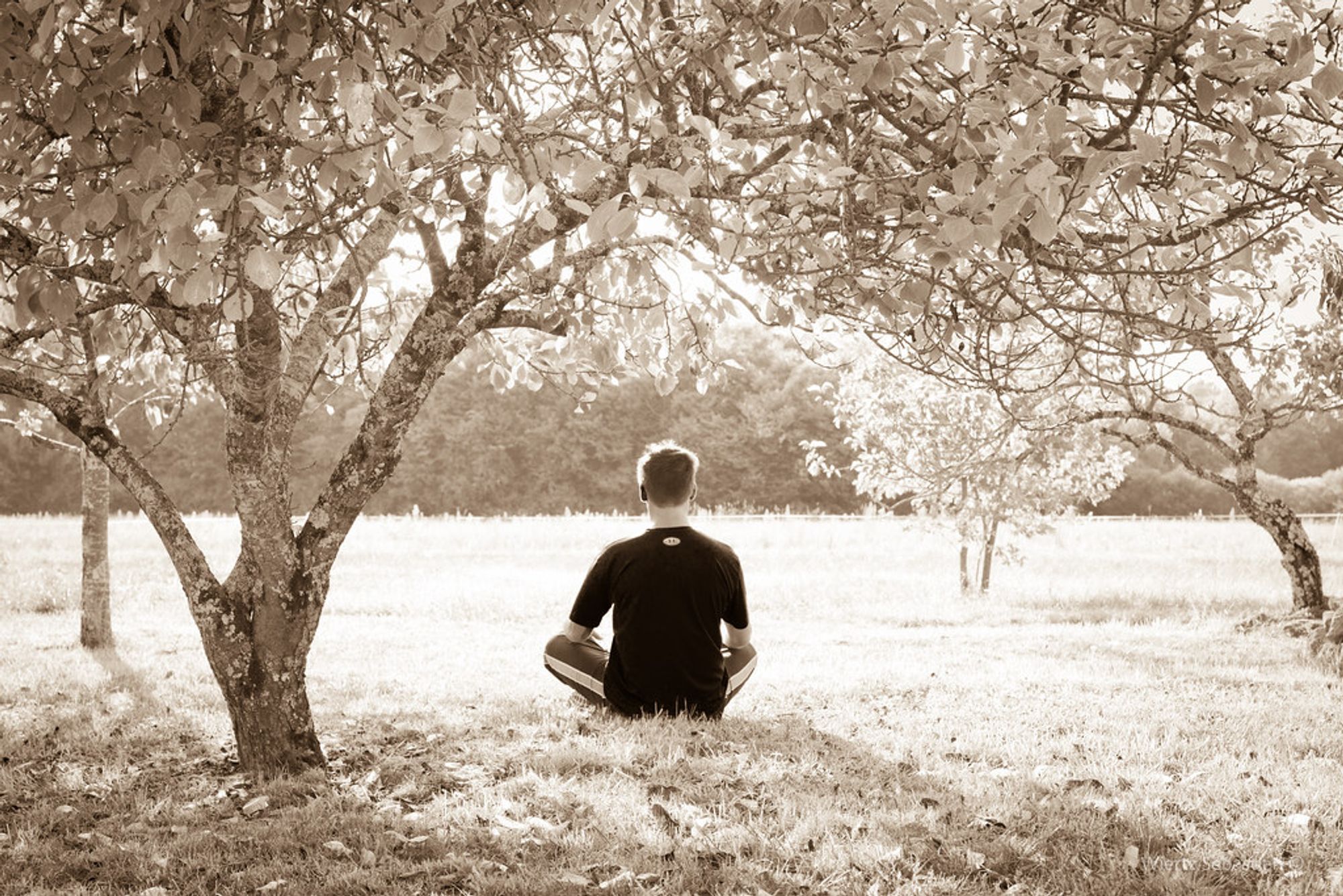 Медитация: что известно науке и как практиковать