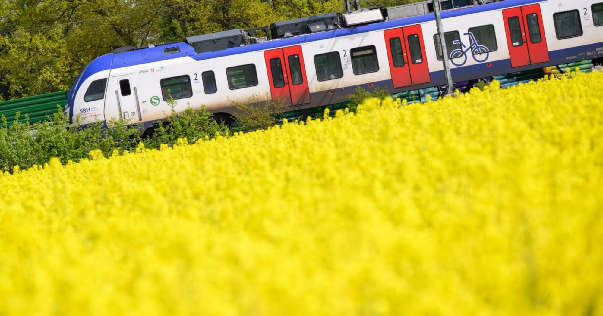 «Ticket Allemagne» : les transports en commun en illimité au nom du pouvoir d’achat et du climat – vert.eco