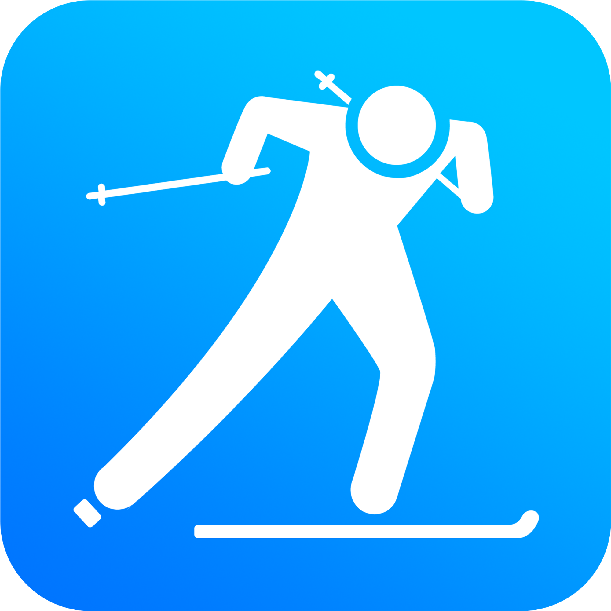Skiwise for Skiers