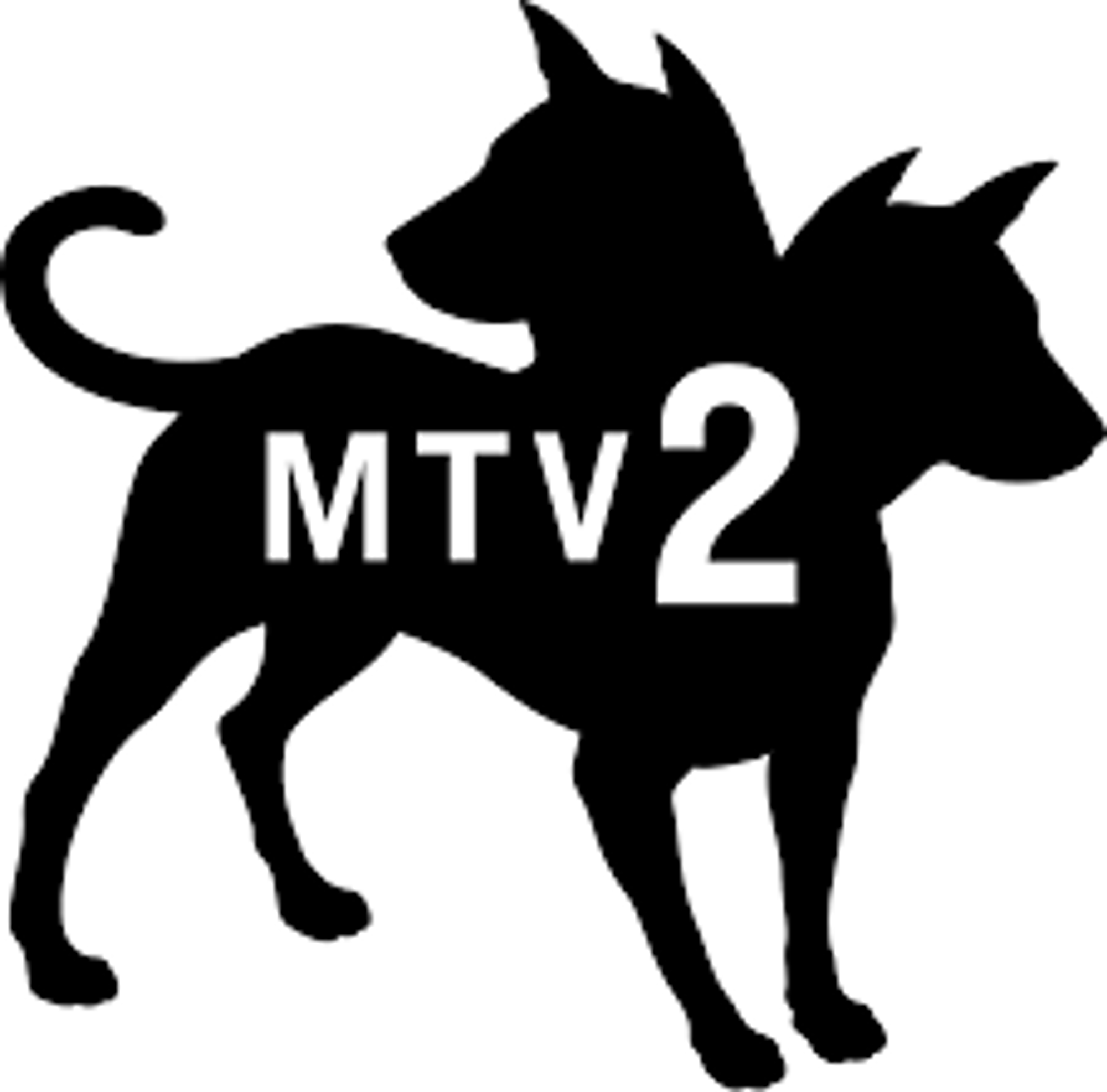 mtv2.png