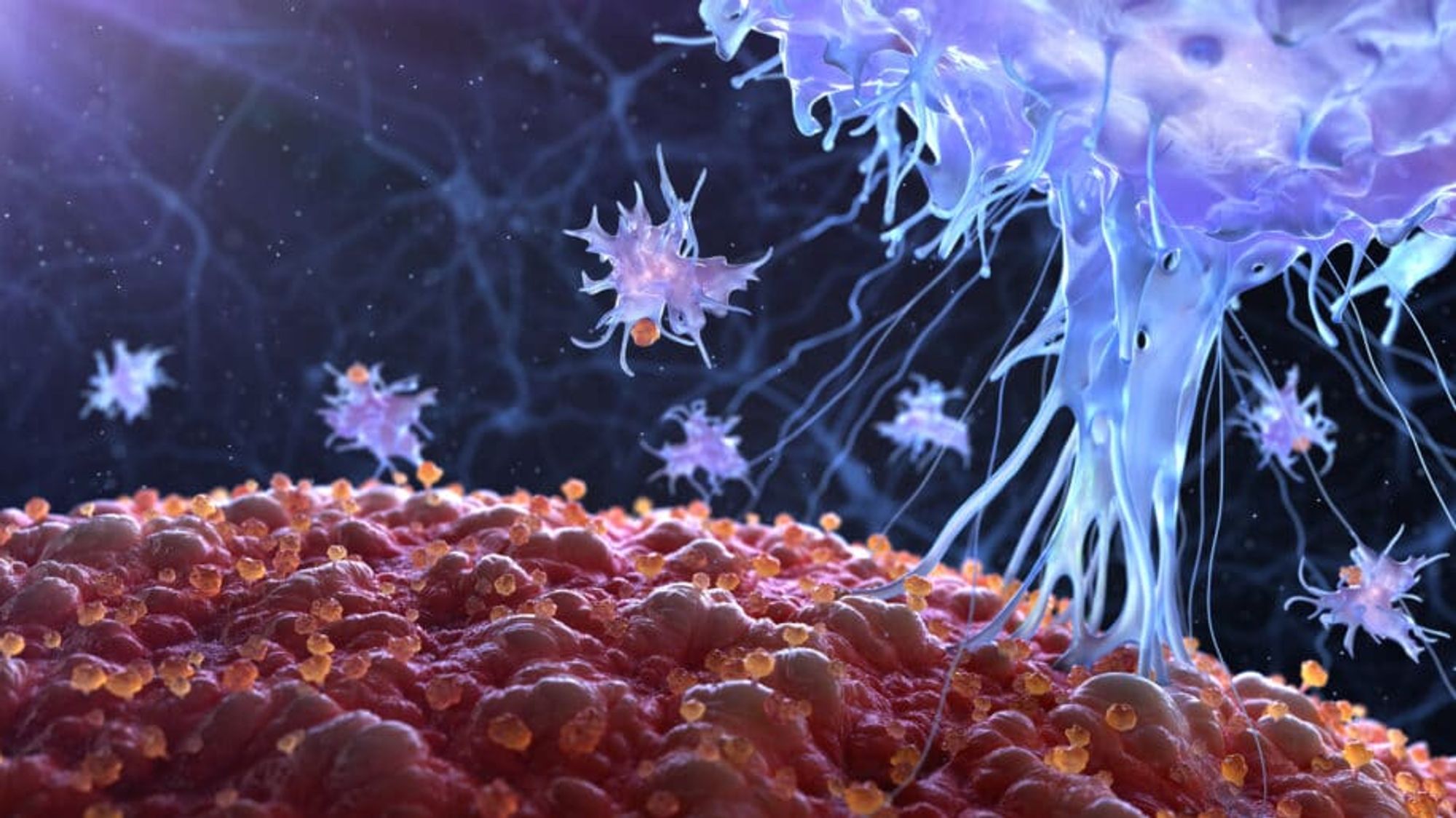 Un virus « tueur de cancer » testé pour la première fois sur l’Homme
