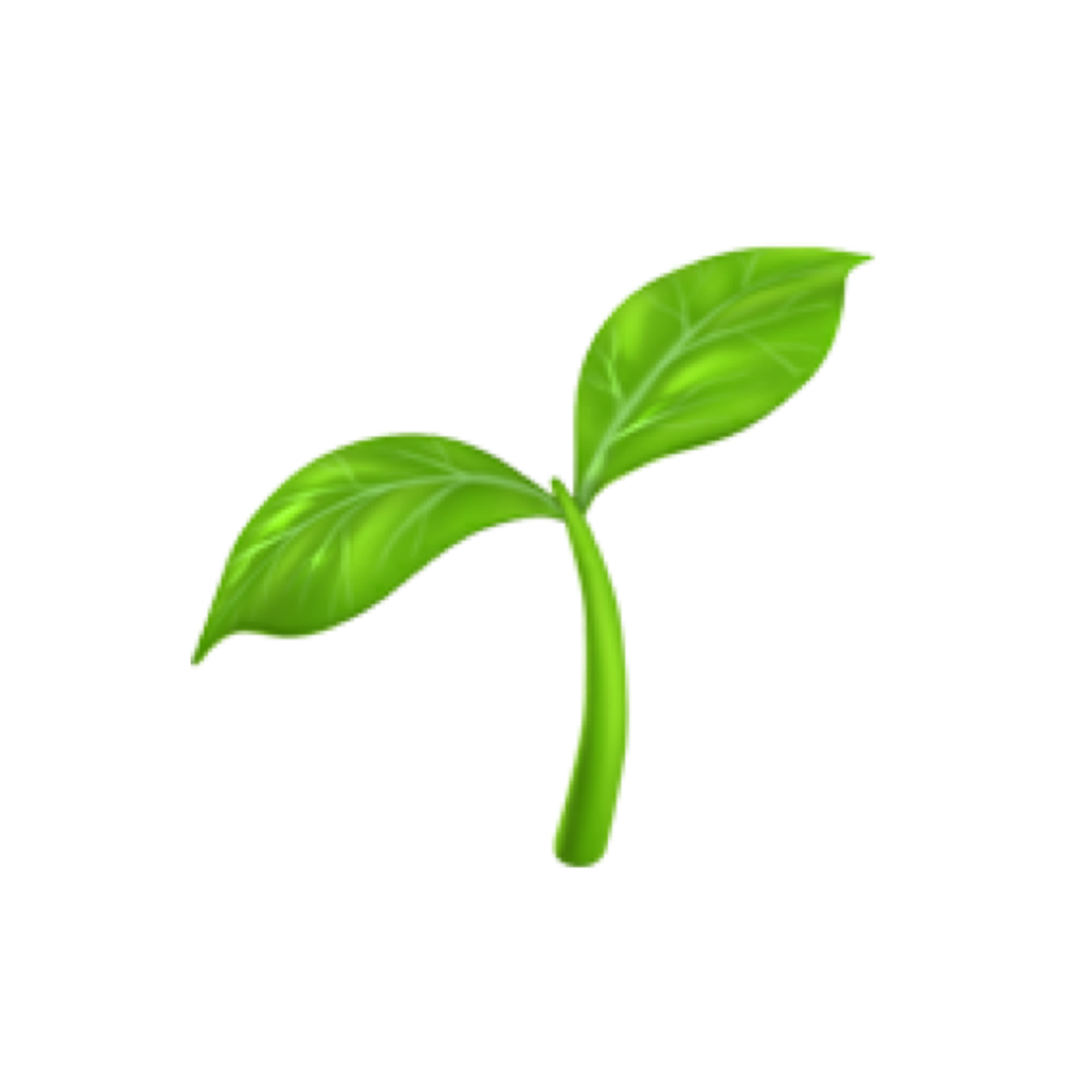 App 24: Plantgram