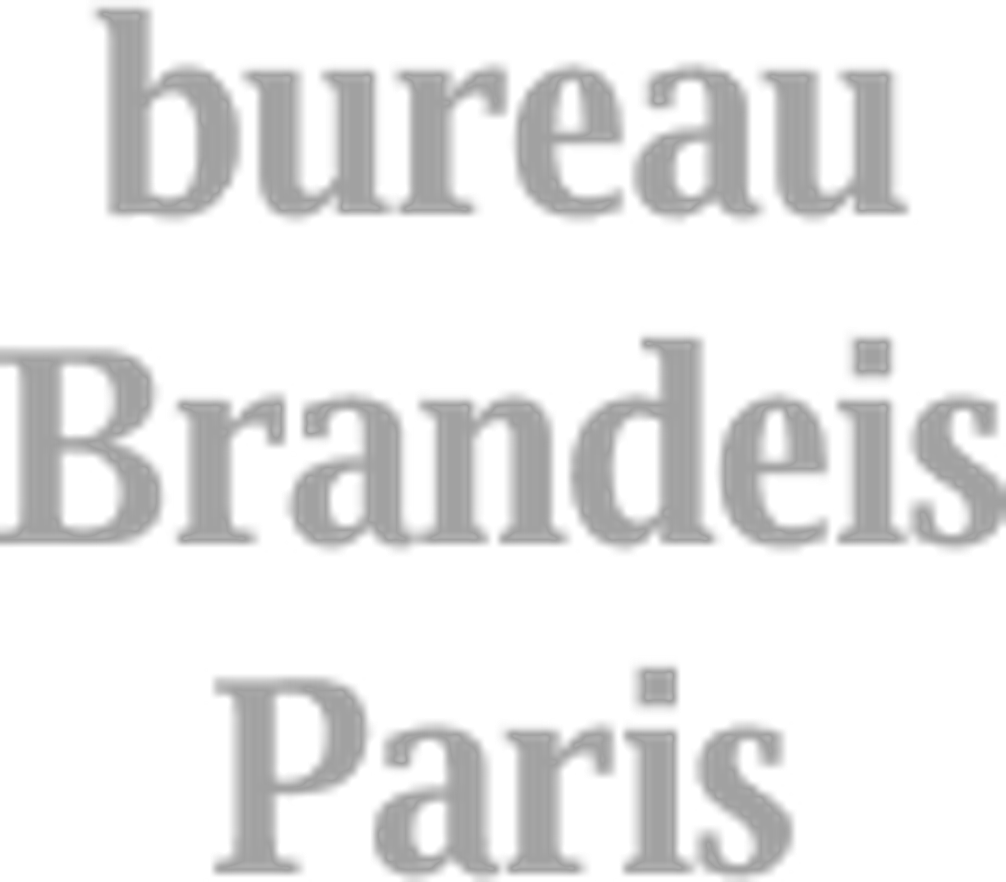 https://www.bureaubrandeis.fr/