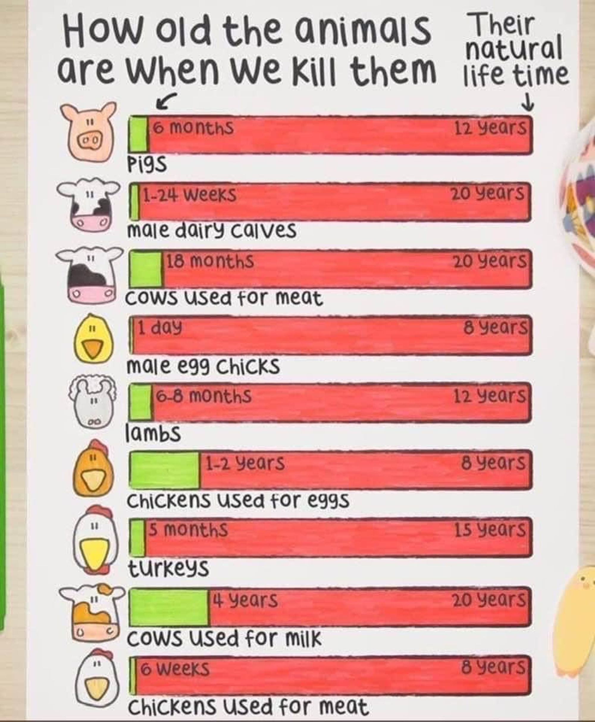 How old are animals when killed