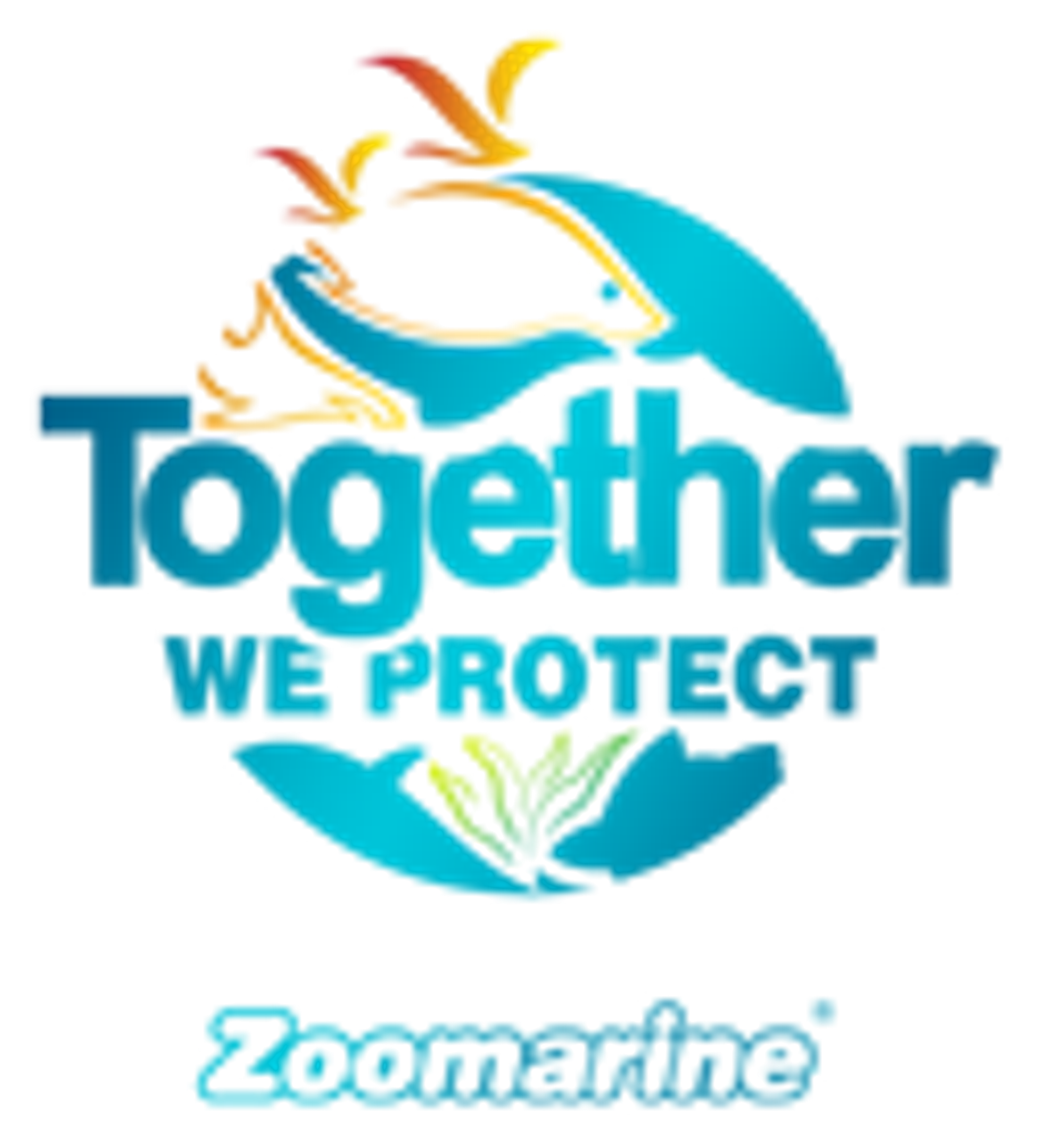 Together_we_Protect_Logo_AF-1_etdzcg.png