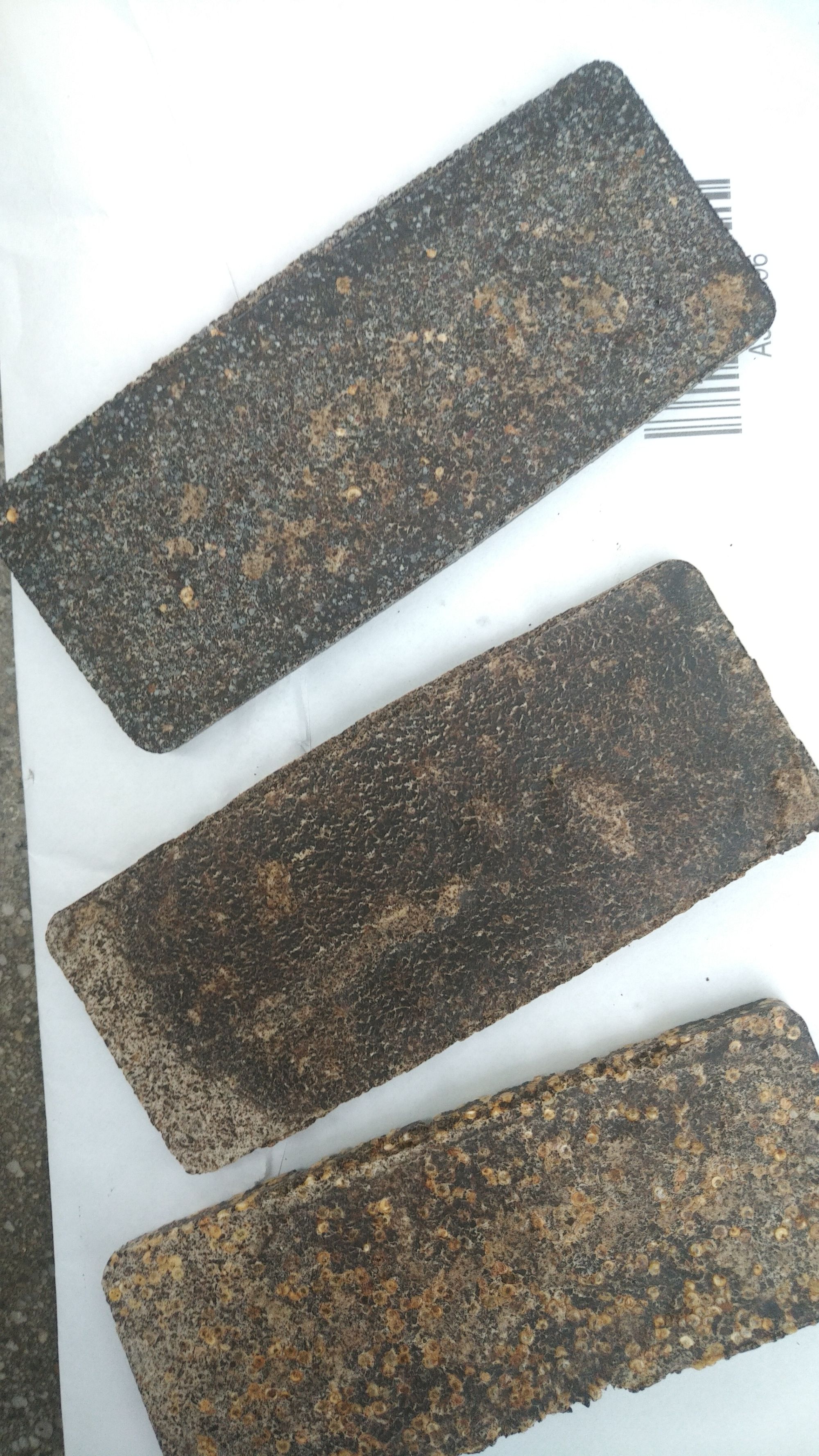 échantillon rectangle - matériaux fibre ou amidon