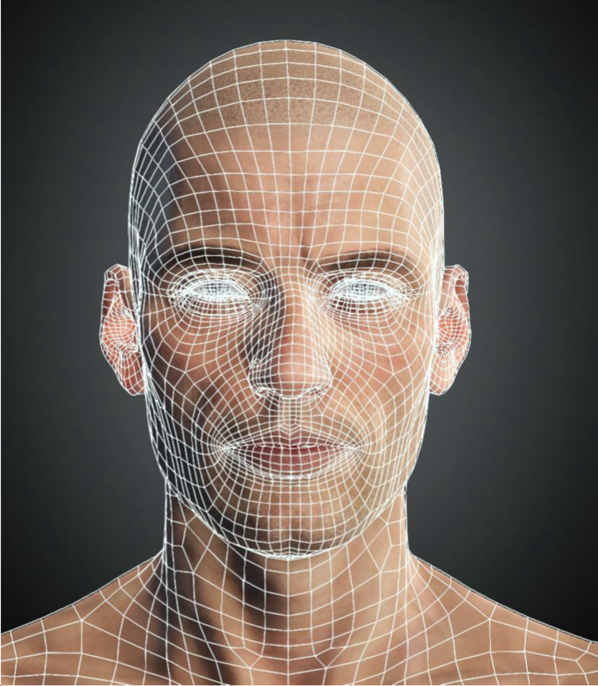 Different face sharing the same topology