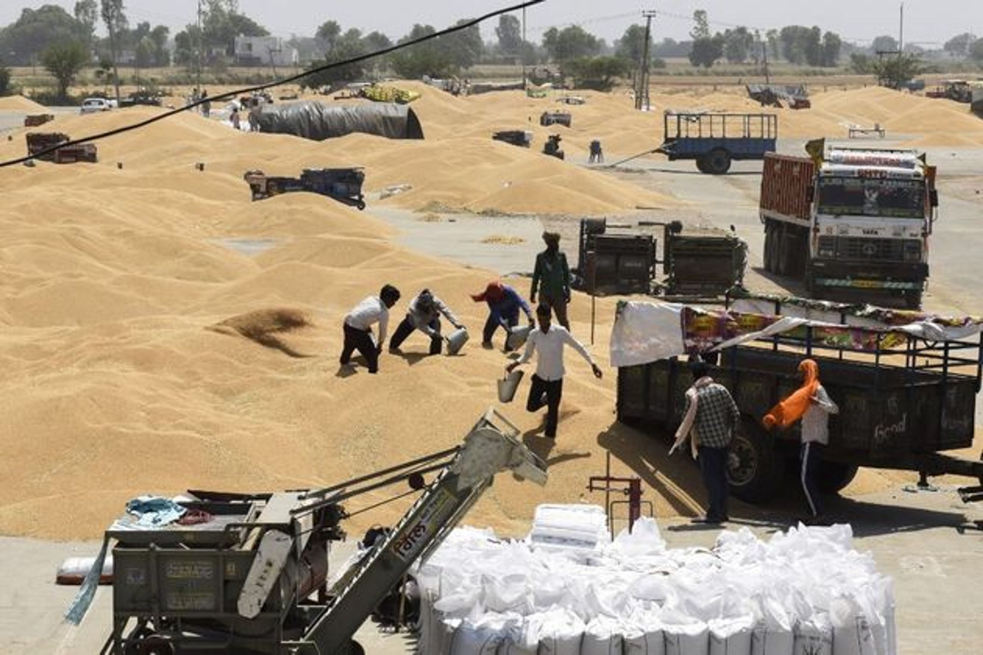L'Inde suspend ses exportations de blé, le G7 s'inquiète d'une crise alimentaire aggravée | Le HuffPost