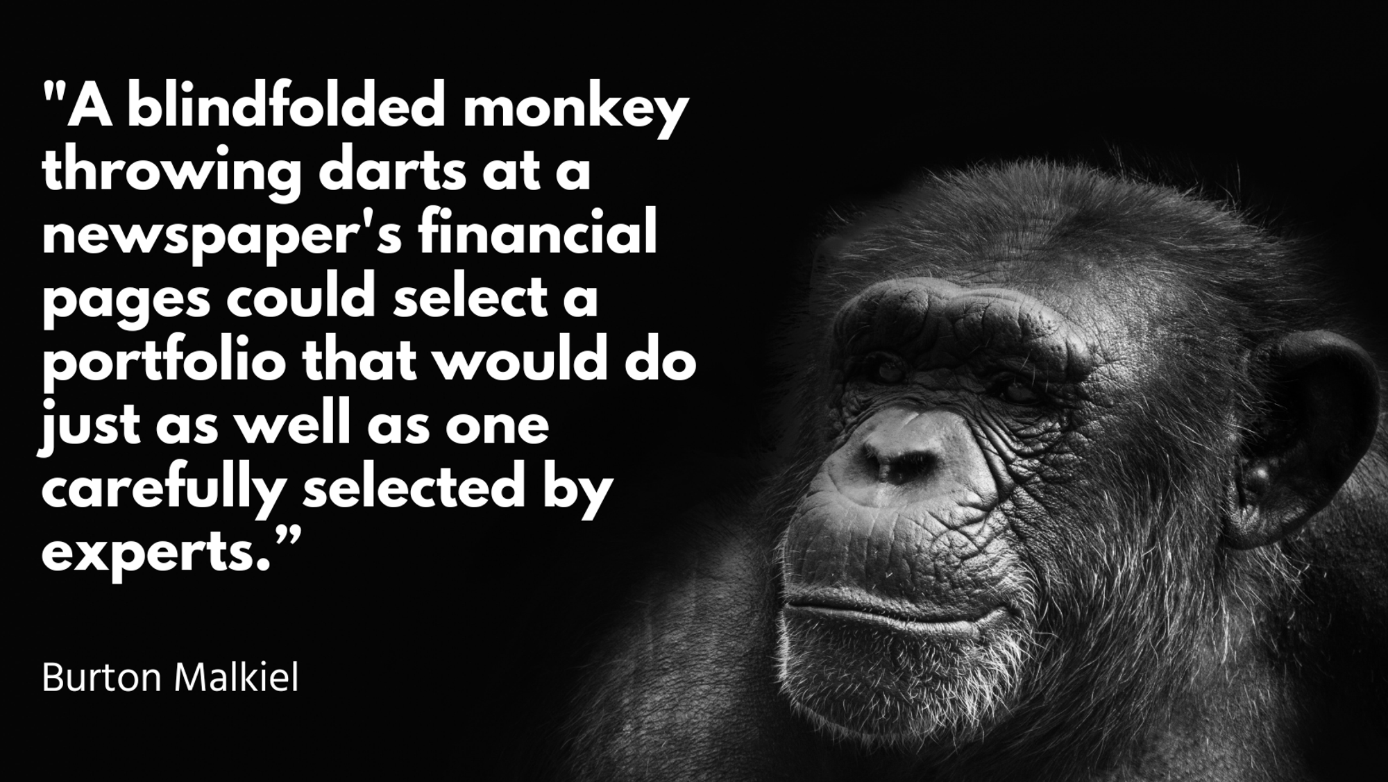 Should You Hire a Blindfolded Monkey?