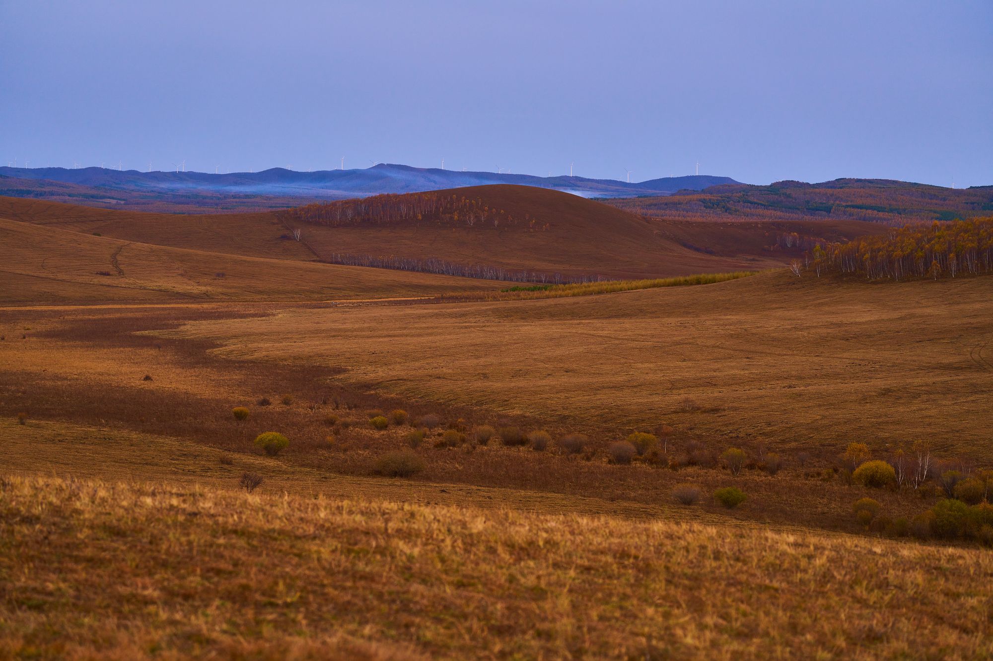内蒙古，乌兰布统草原，100mm F5.6 1/80 ISO200，Sony A7R4a，2021年10月3日