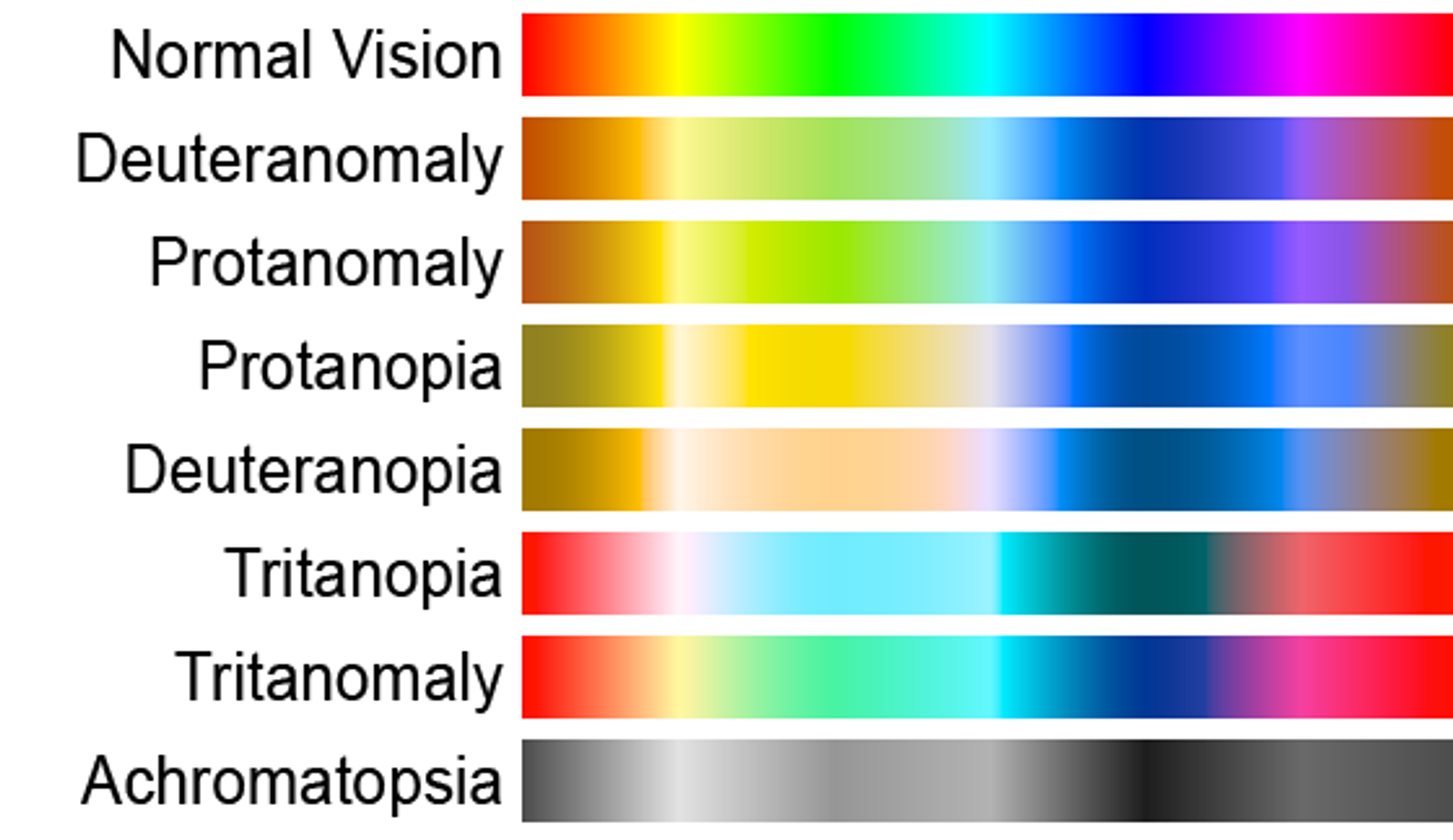 Ces nuanciers montrent comment une personne daltonienne voit les couleurs par rapport à une personne ayant une vision normale. La deutéranomalie est l'anomalie la plus commune (6% des hommes). Wikicommon