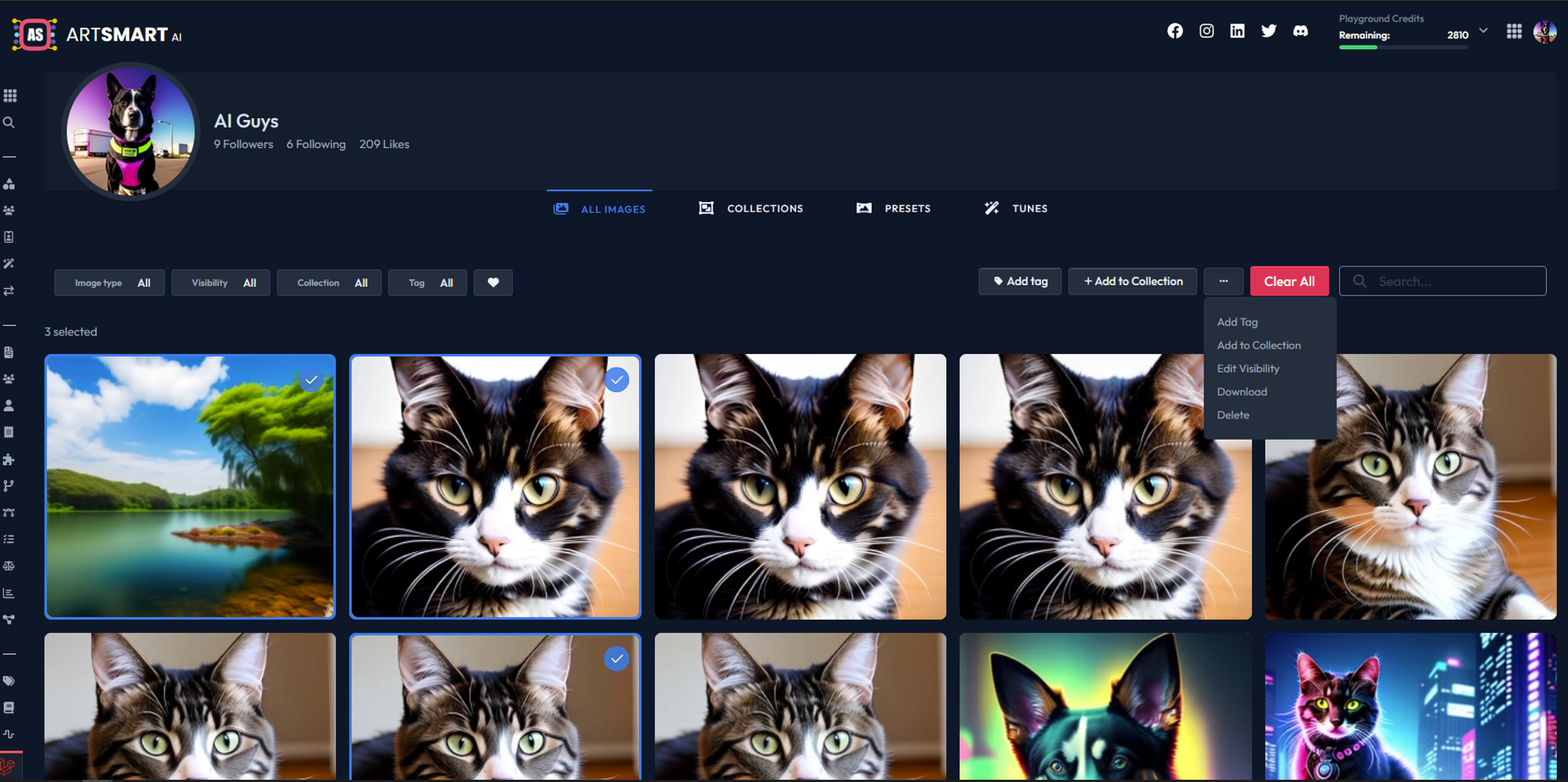 Grid view of all images and selecting images in bulk to take action on 