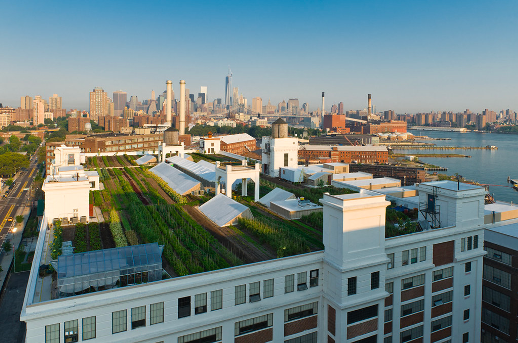 Brooklyn Grange Farming Rooftops - New York, NY | Taken from: 
