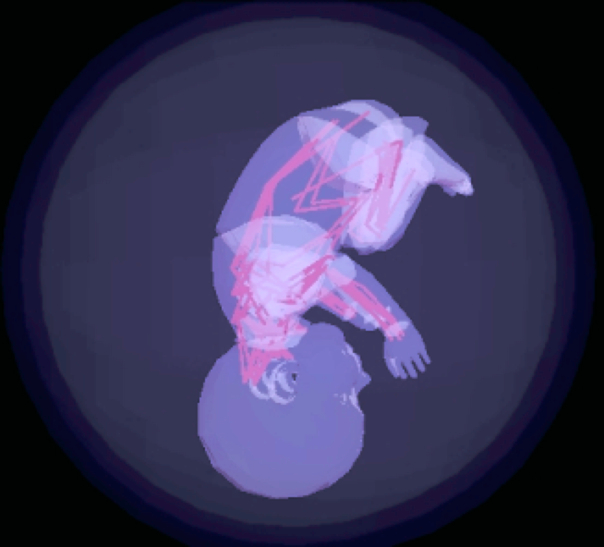 胎児の全身筋骨格シミュレーション