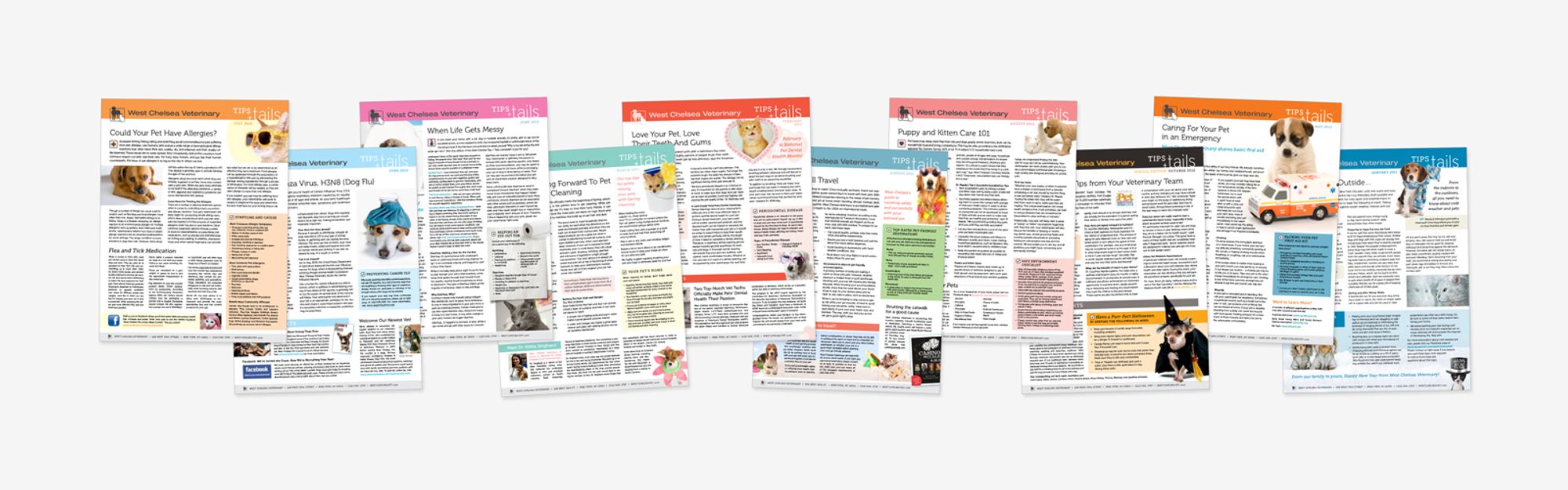 Selected newsletter designs from my contract work for West Chelsea Veterinary Hospital