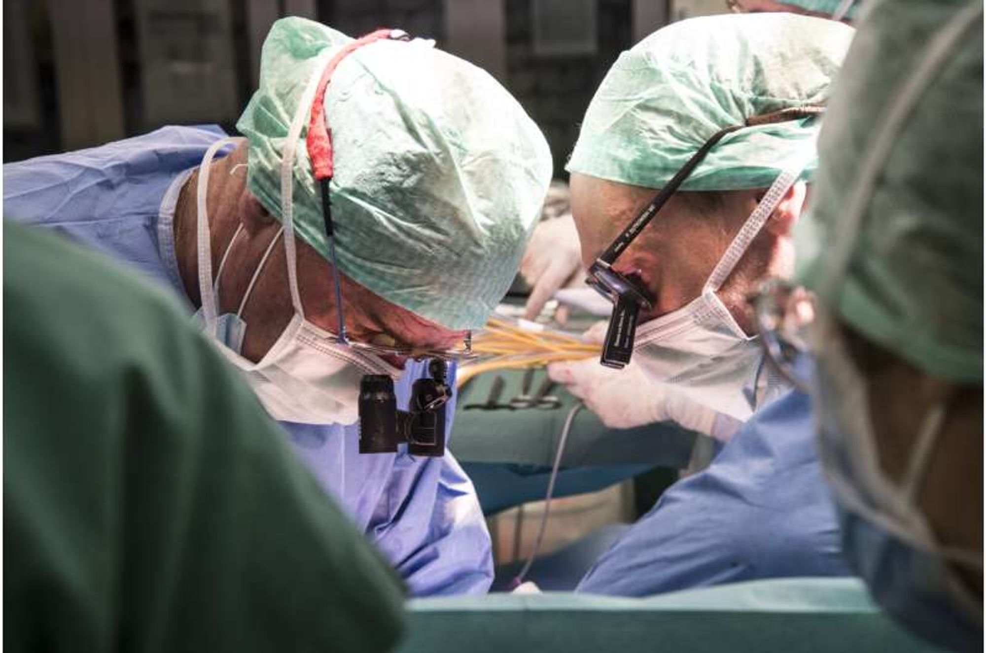 A world first: Human liver was treated in a machine and then successfully transplanted