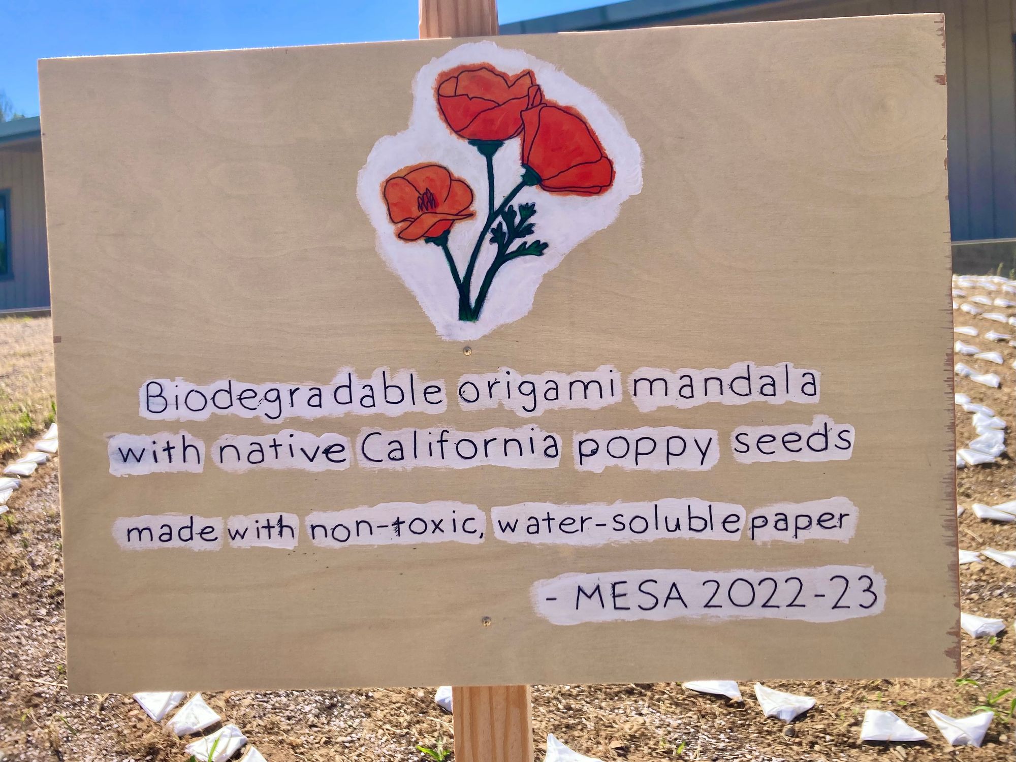 A second math/art project with the 100 high school MESA students. This 2-month project featured a study of radial symmetry, fleeting Tibetan sand mandalas, 1,000 pieces of biodegradable paper, and the California State flower.