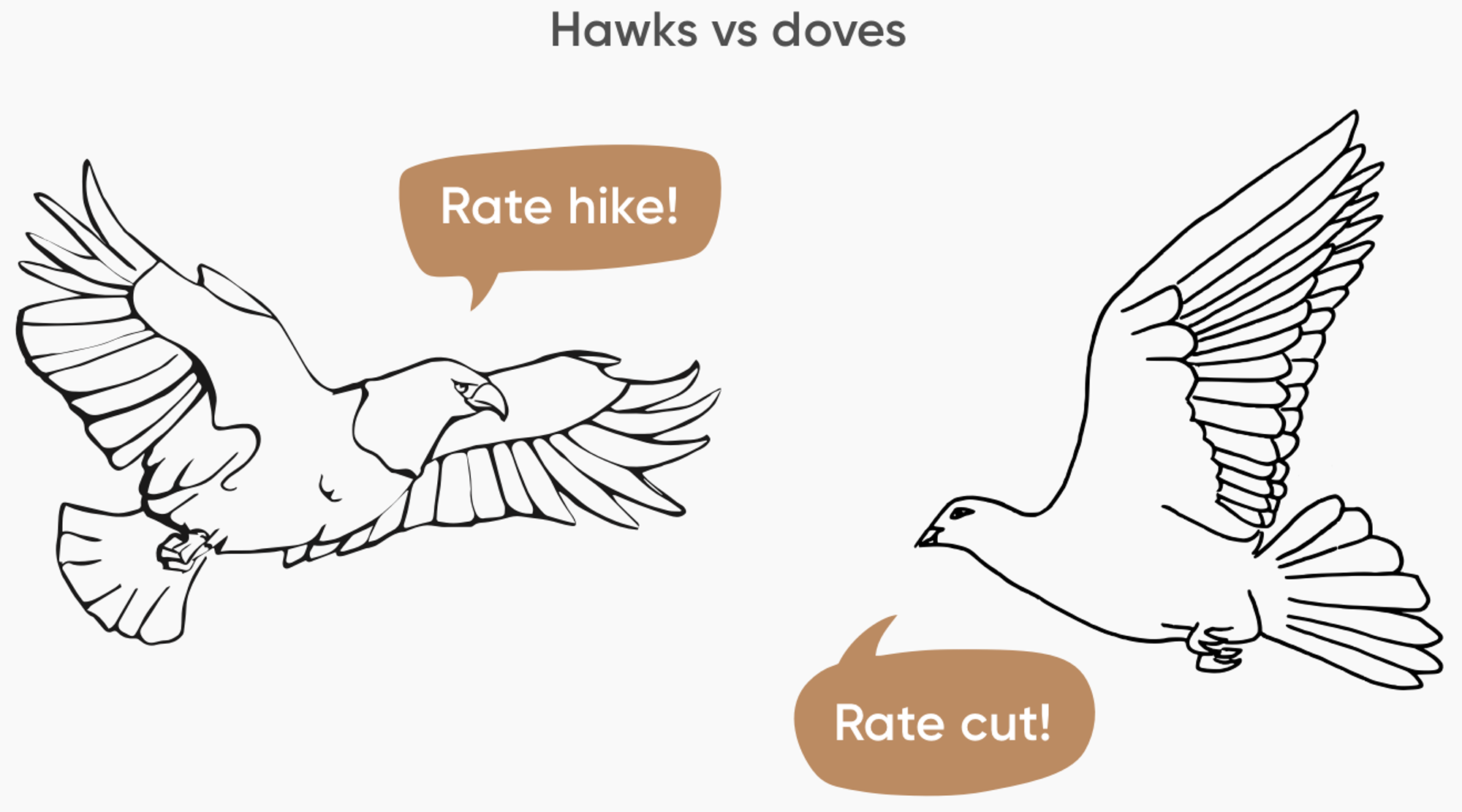 ‘Haviken’ zien streng toe op de begrotings- en rentediscipline, waar ‘duiven’ een meer rekkelijk beleid voeren en de tekorten laten oplopen in de hoop de economie aan te jagen.