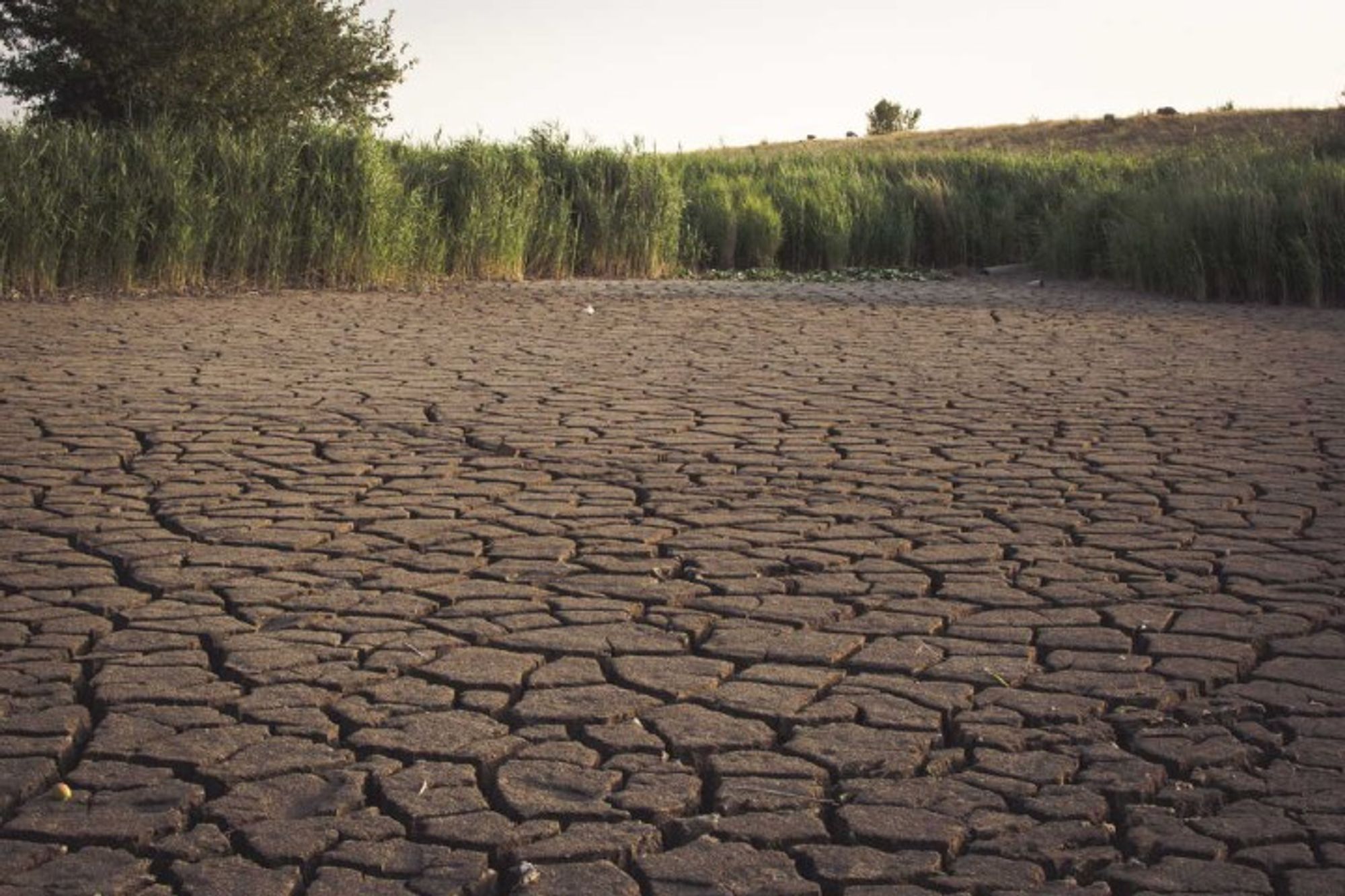 En Méditerranée, vers une sécheresse quasi permanente